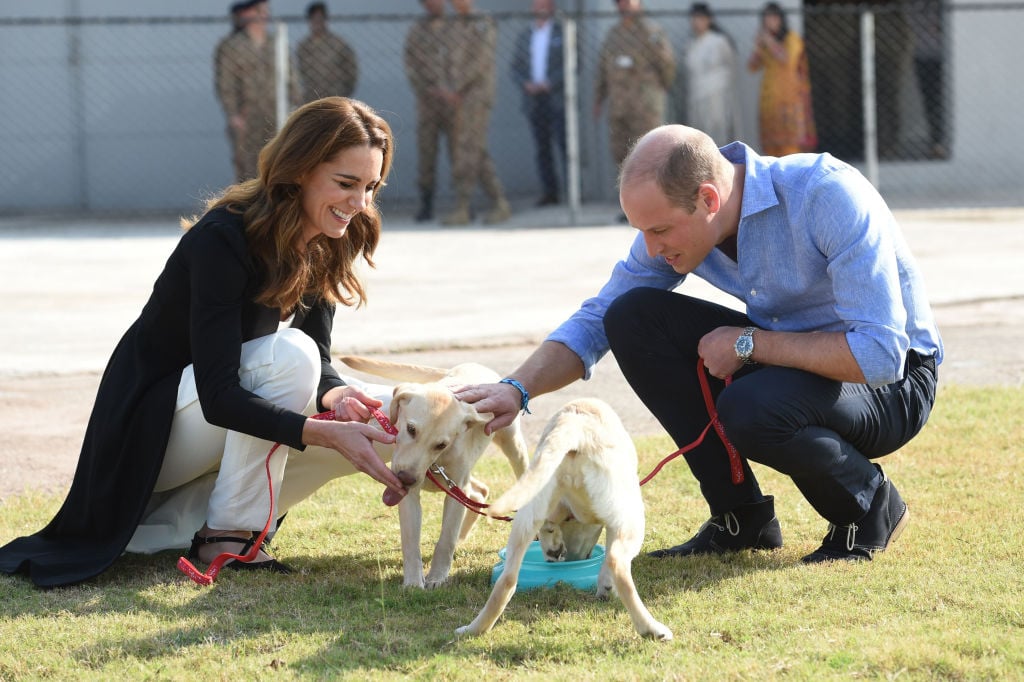 Kate Middleton and Prince William smiling, kneeling down to pet dogs