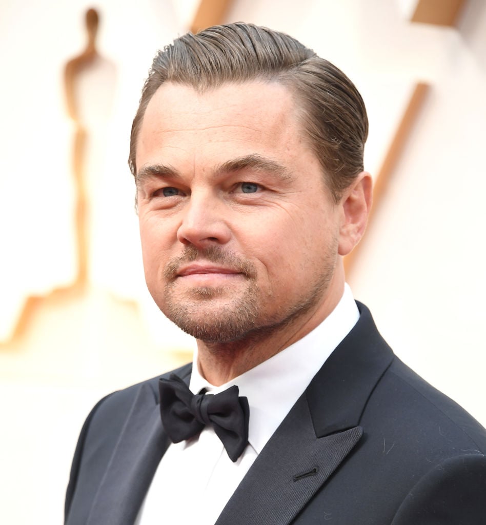 Leonardo DiCaprio arrives at the 92nd Annual Academy Awards at Hollywood and Highland 