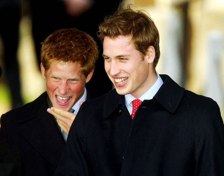 Prince William and Prince Harry share a laugh as kids.