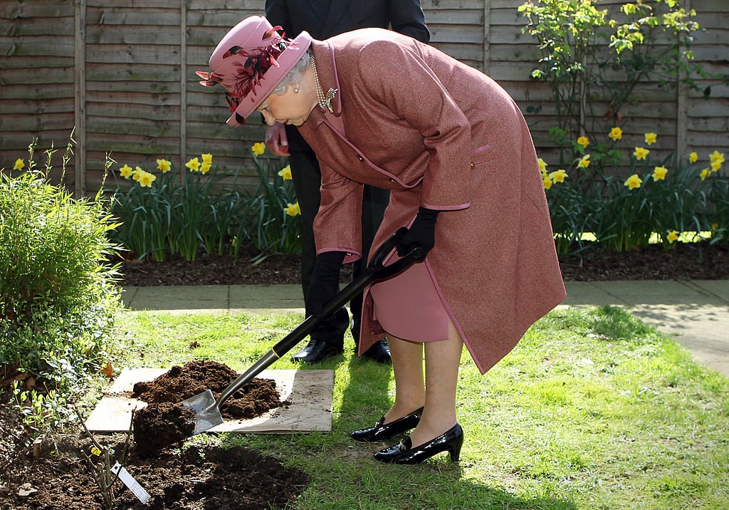 Queen Elizabeth II shovels dirt on a rose bush