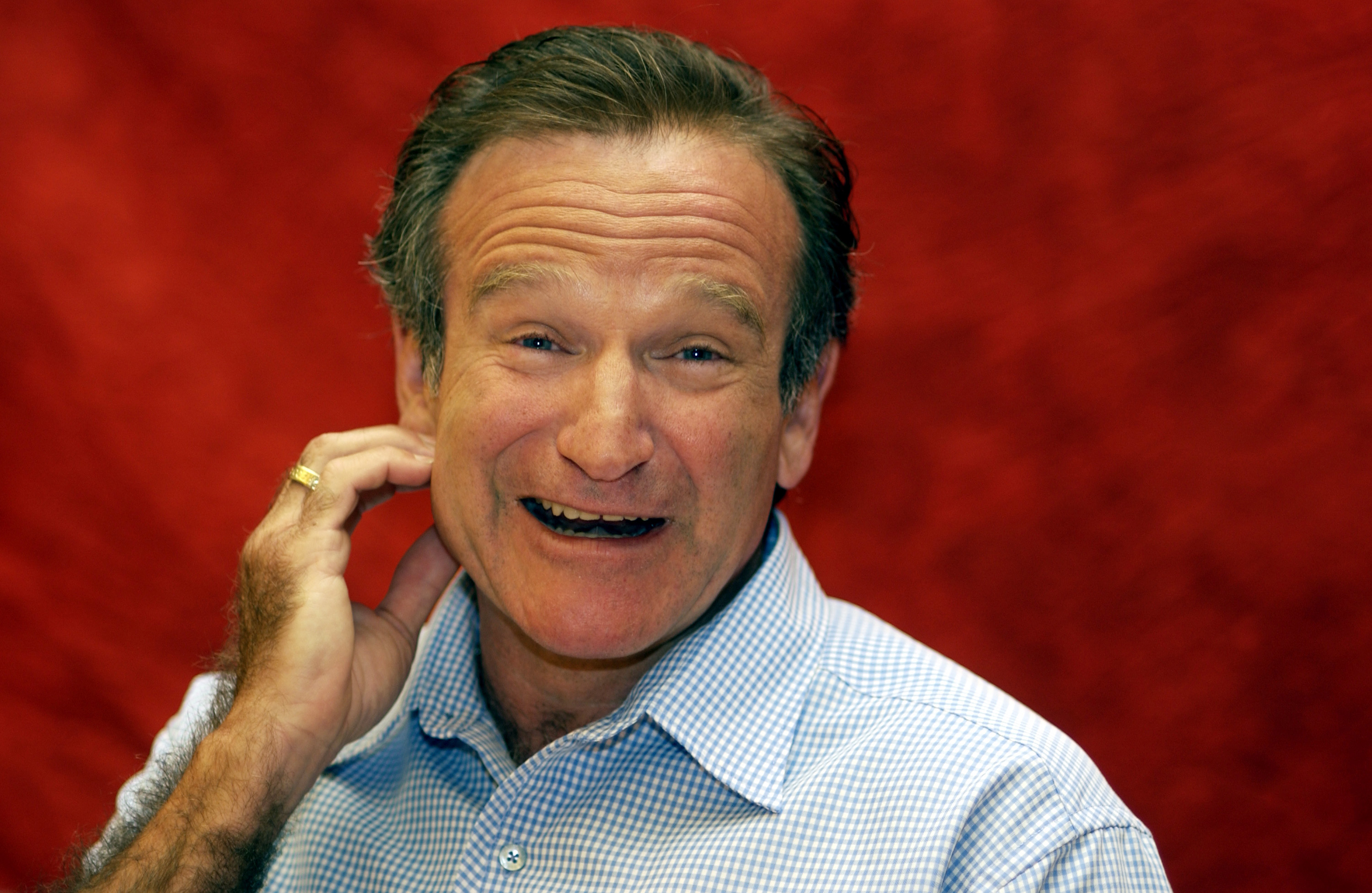 Robin Williams attends a press conference for 'One Hour Photo'