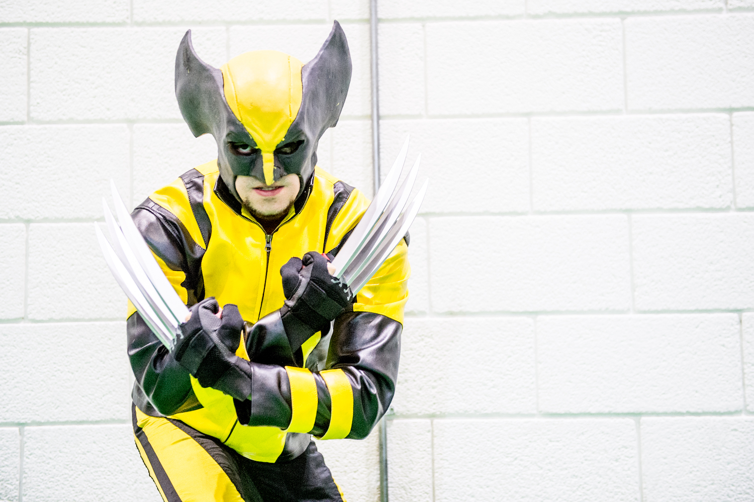 A cosplayer in character as Wolverine