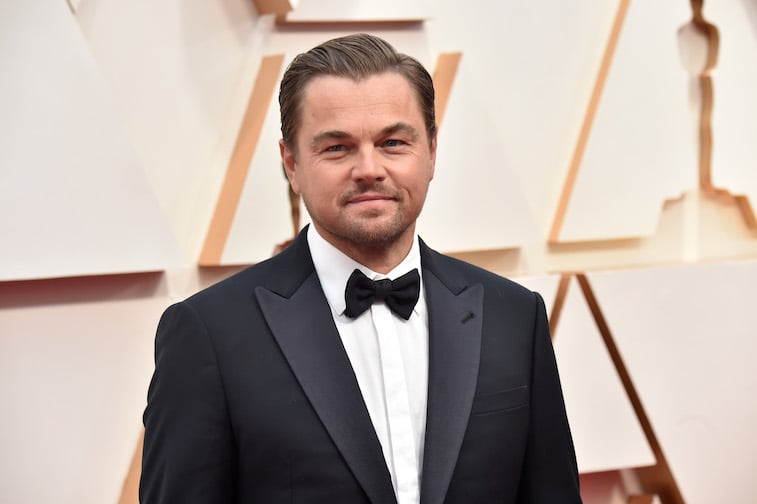 Leonardo DiCaprio on the red carpet