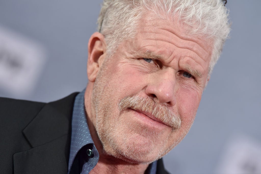 Ron Perlman attends the 2019 TCM Classic Film Festival Opening Night Gala and 30th Anniversary Screening of 'When Harry Met Sally' at TCL Chinese Theatre on April 11, 2019 in Hollywood, California.
