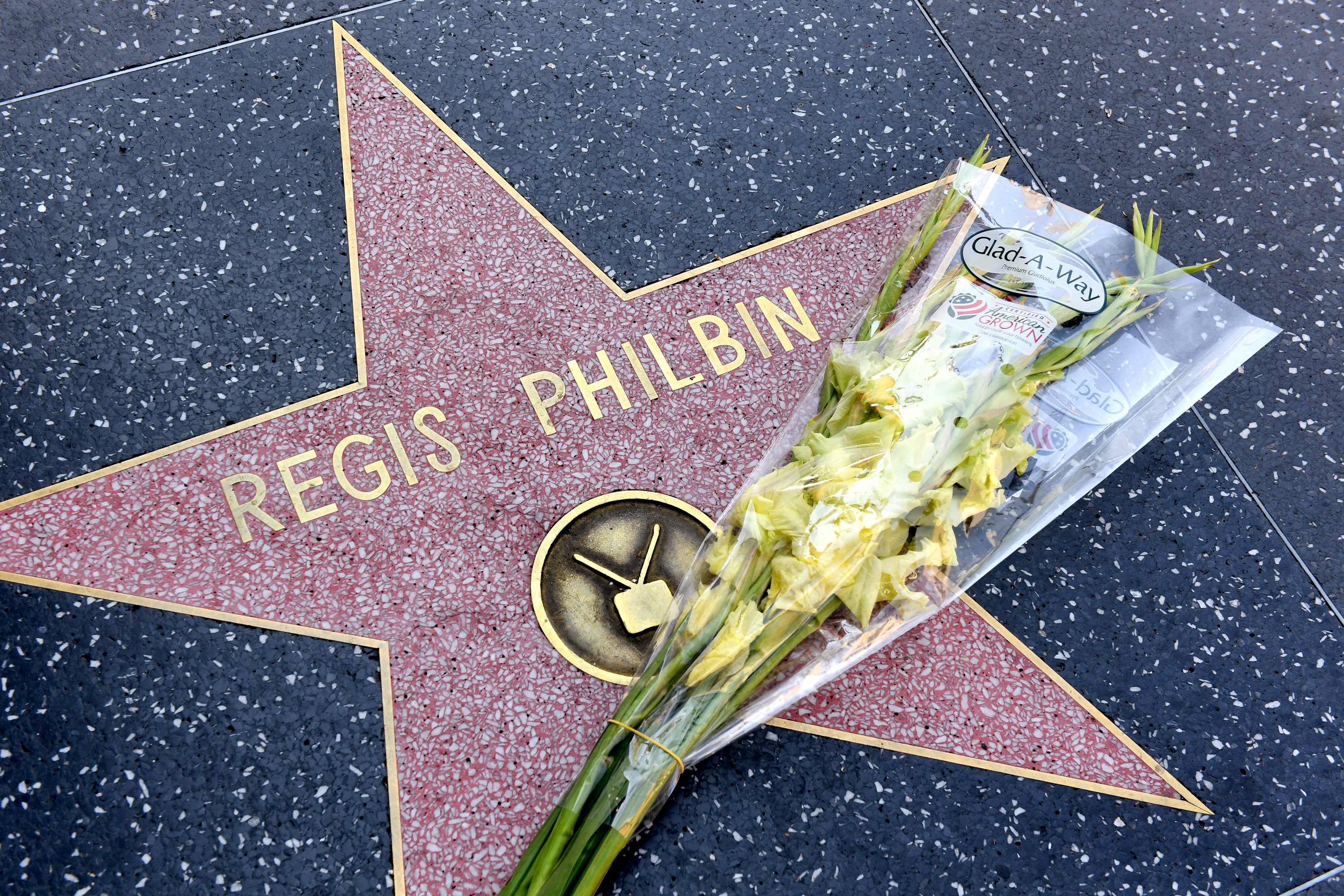 Regis Philbin's star on the Hollywood Walk of Fame