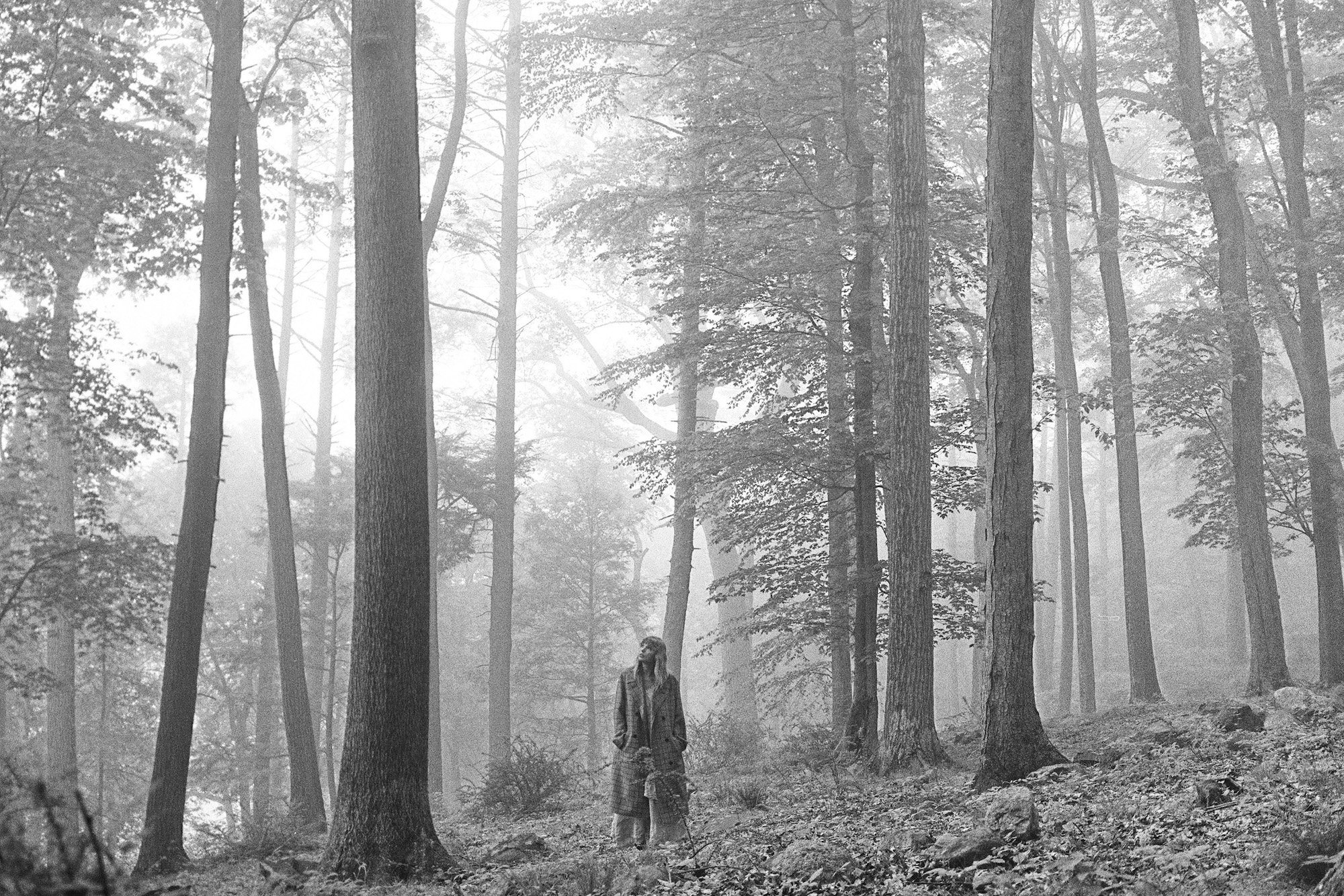 Taylor Swift’s “In The Trees” ‘folklore’ album cover 