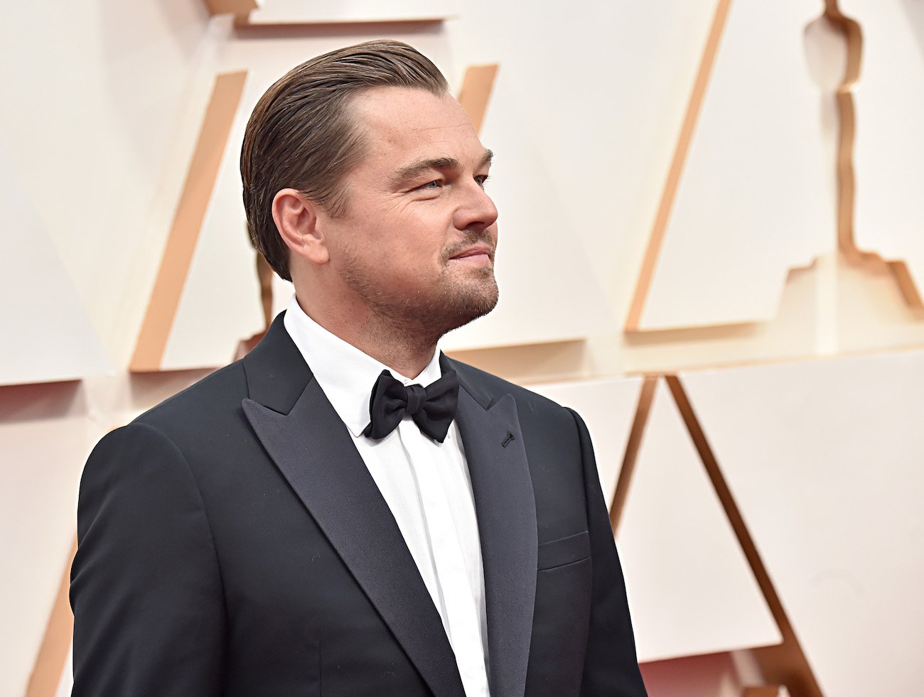 Leonardo DiCaprio attends the 92nd Annual Academy Awards at Hollywood and Highland