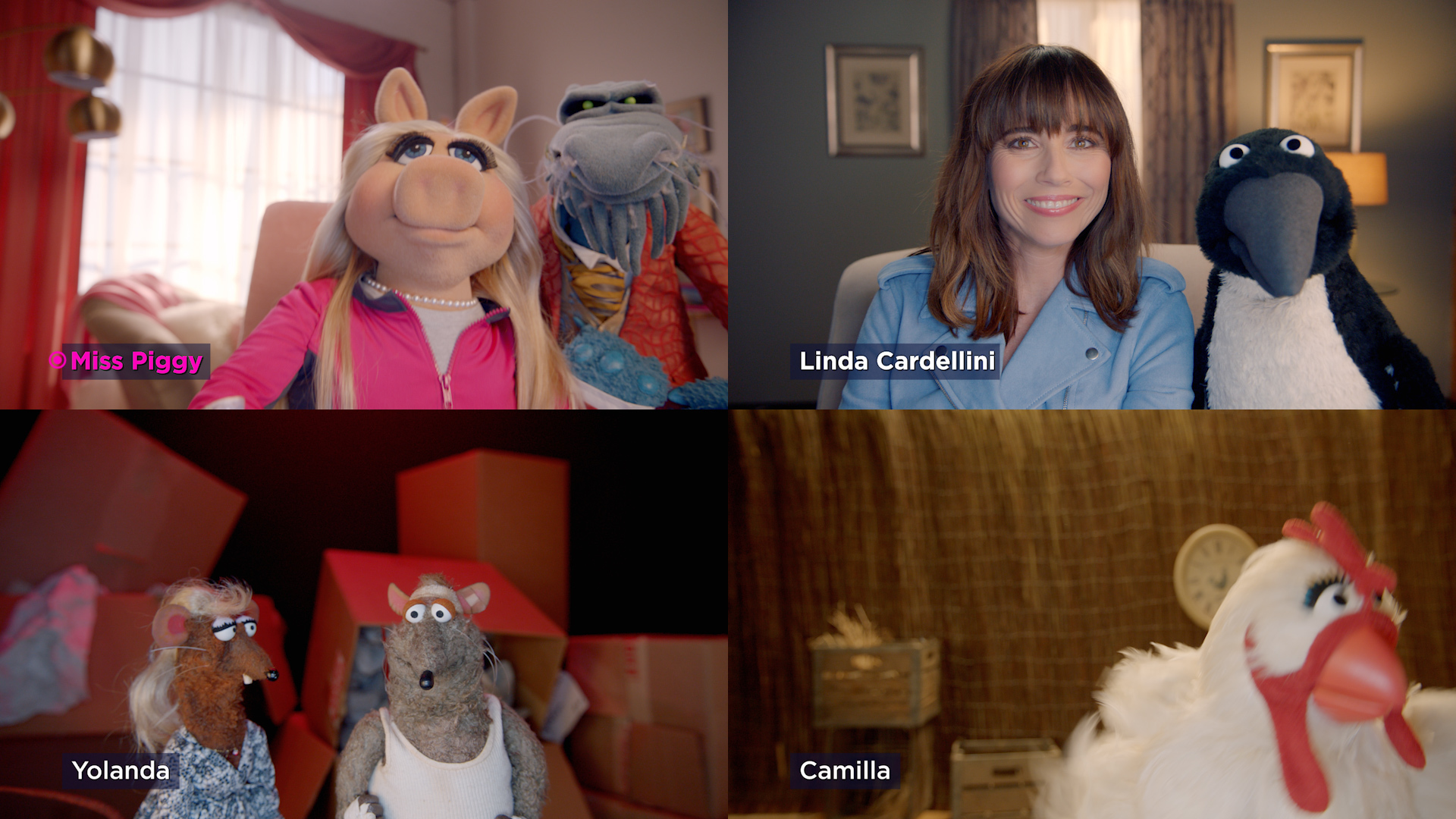 Muppets Now: Linda Cardellini