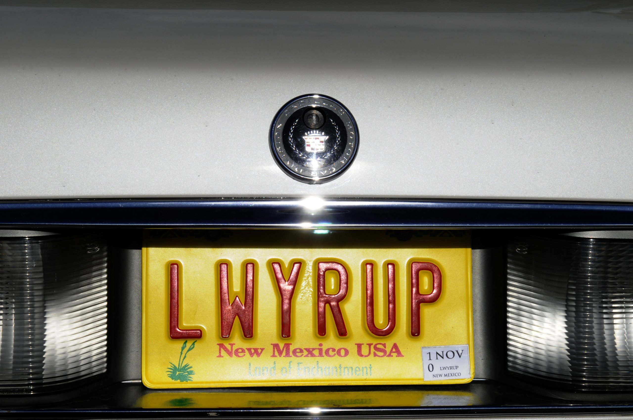 Saul Goodman plate