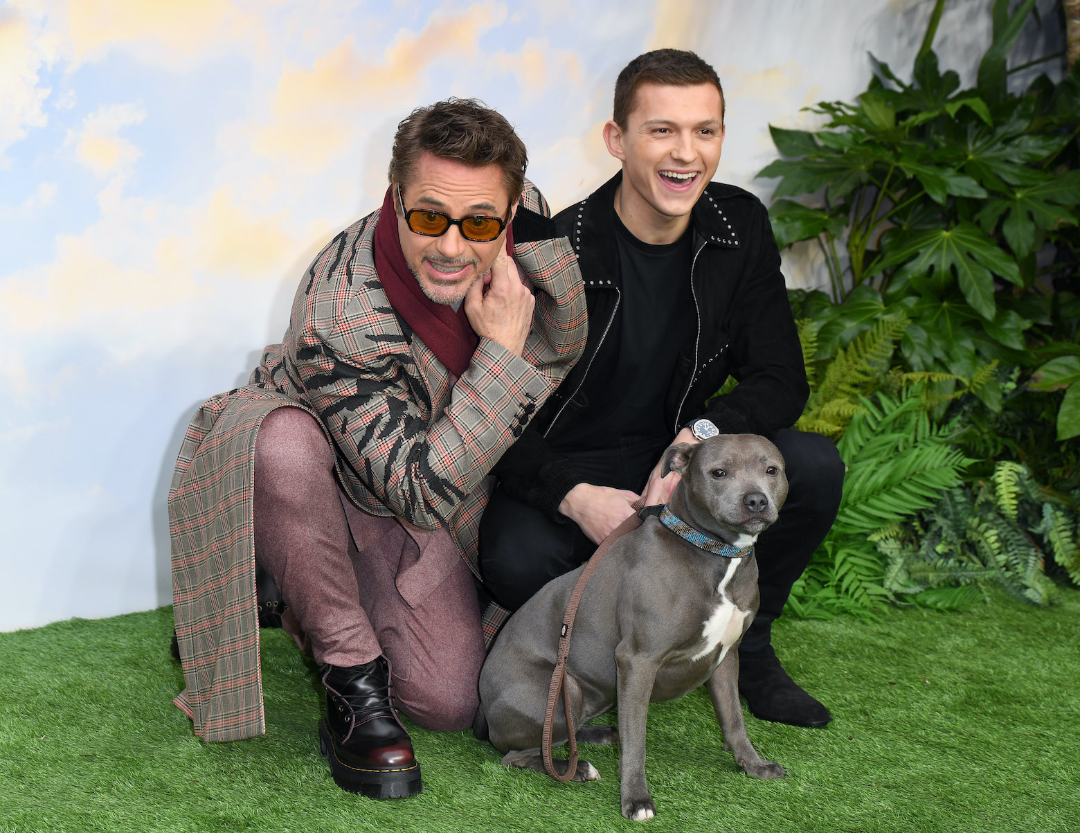 Tom Holland, the MCU version of Spider-Man, poses with Robert Downey Jr. (the MCU's Iron Man) and a dog at the premier of 'Doolittle'