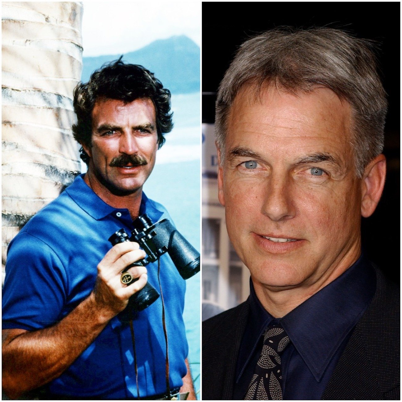 Tom Selleck (L) and Mark Harmon (R)