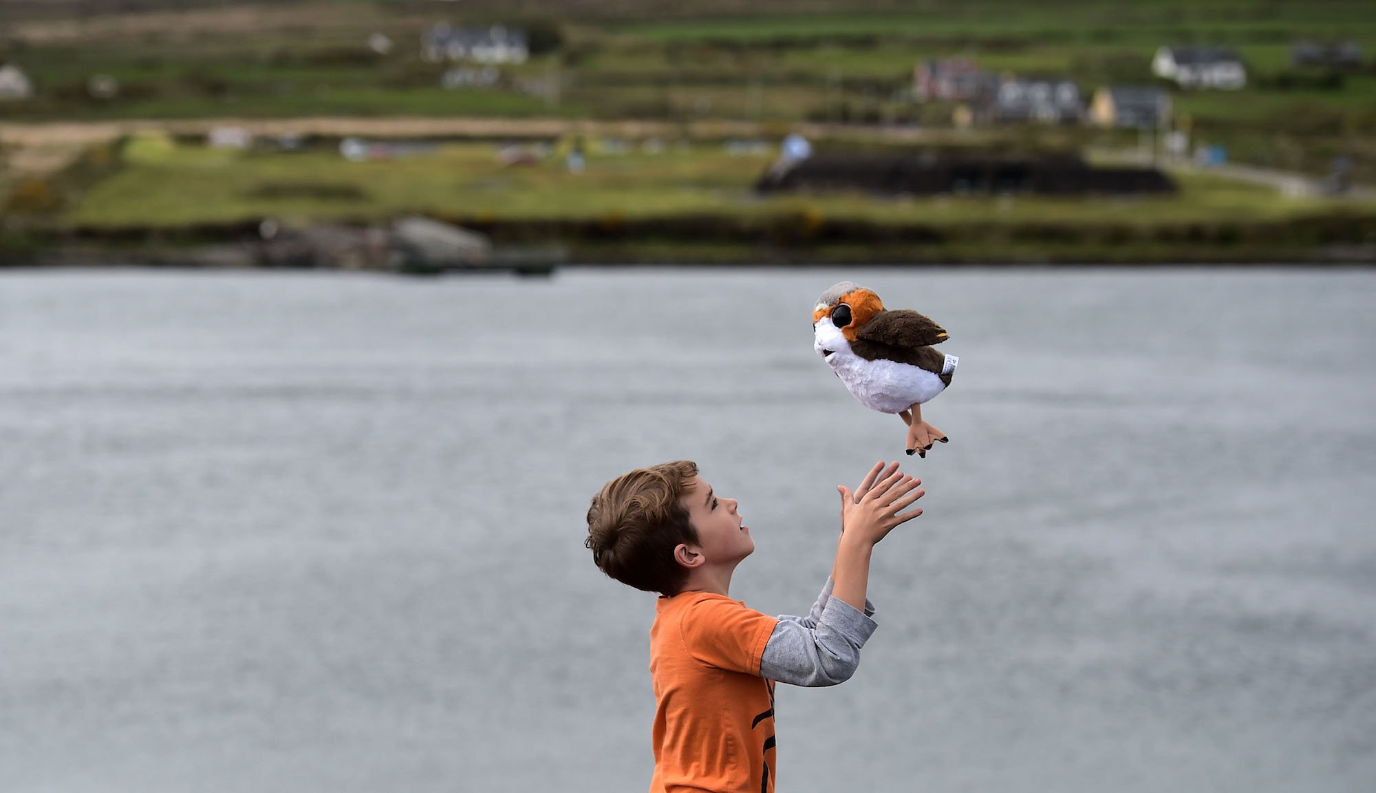 Teddy O'Connor, aged seven plays with his stuffed Porg
