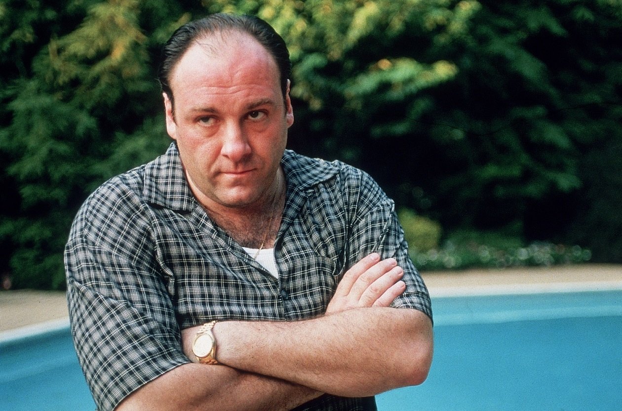 James Gandolfini stands by a pool.