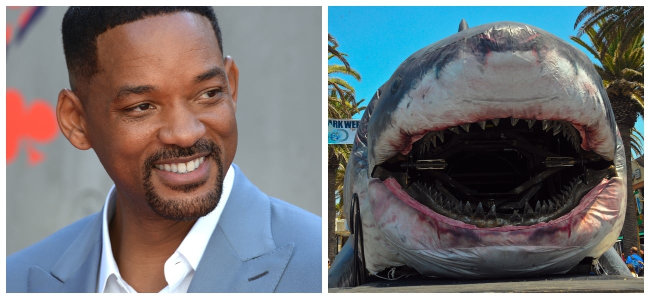 Will Smith, Shark Week display