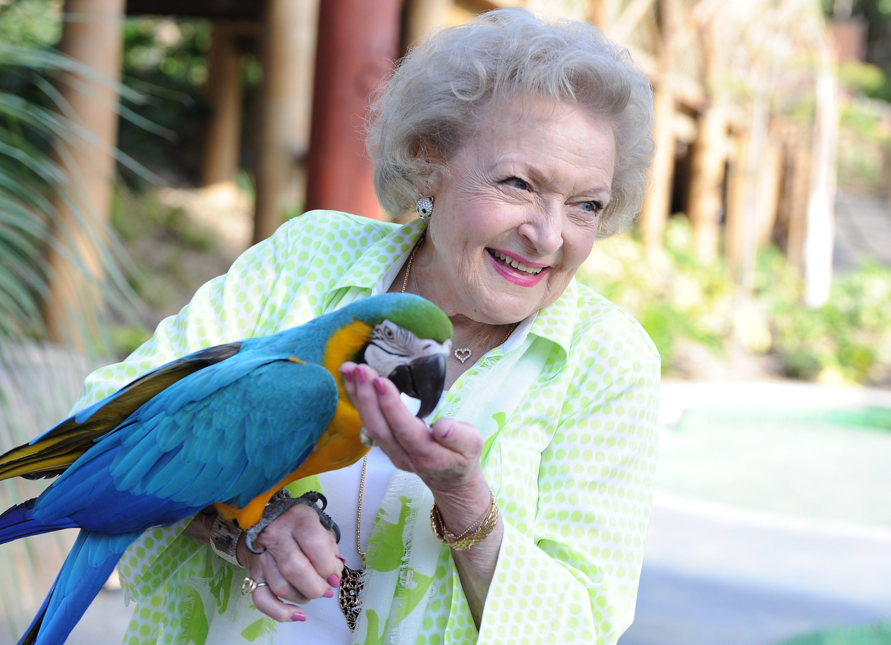 Betty White in 2014 | Angela Weiss/Getty Images