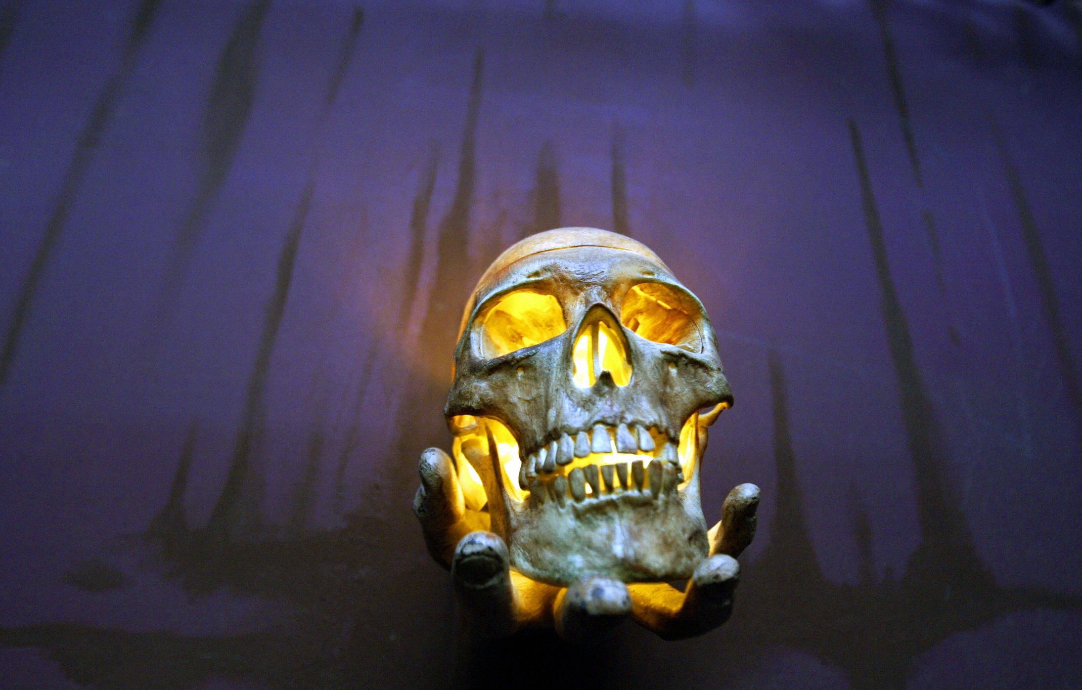 Horror movie skull
