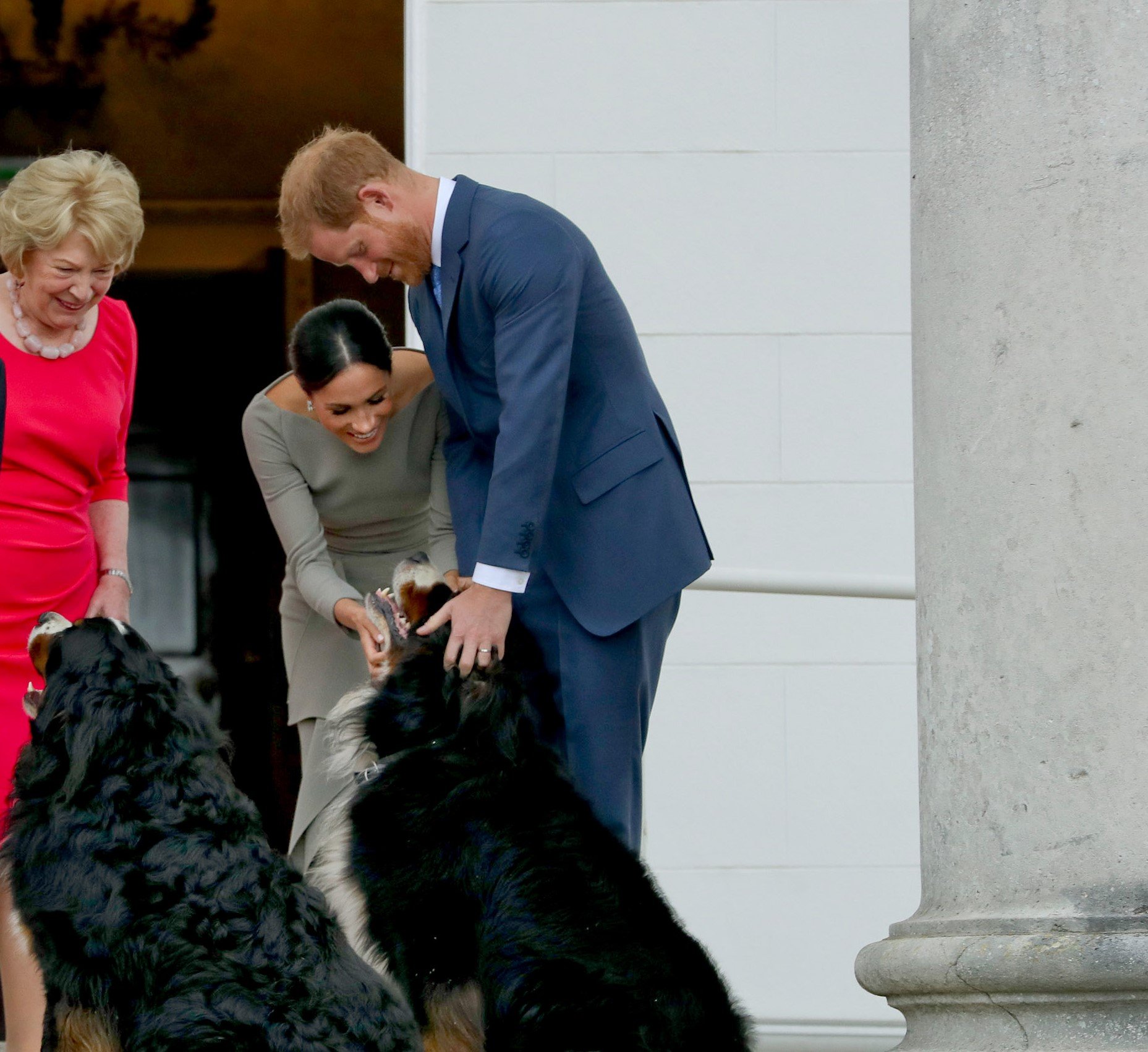 Meghan Markle and Prince Harry greet the President of Ireland's dog
