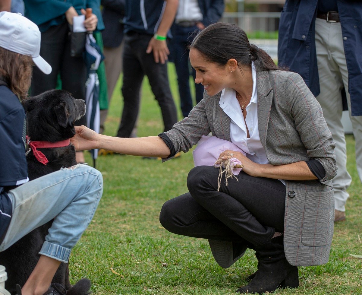 Meghan Markle pets dog in Australia