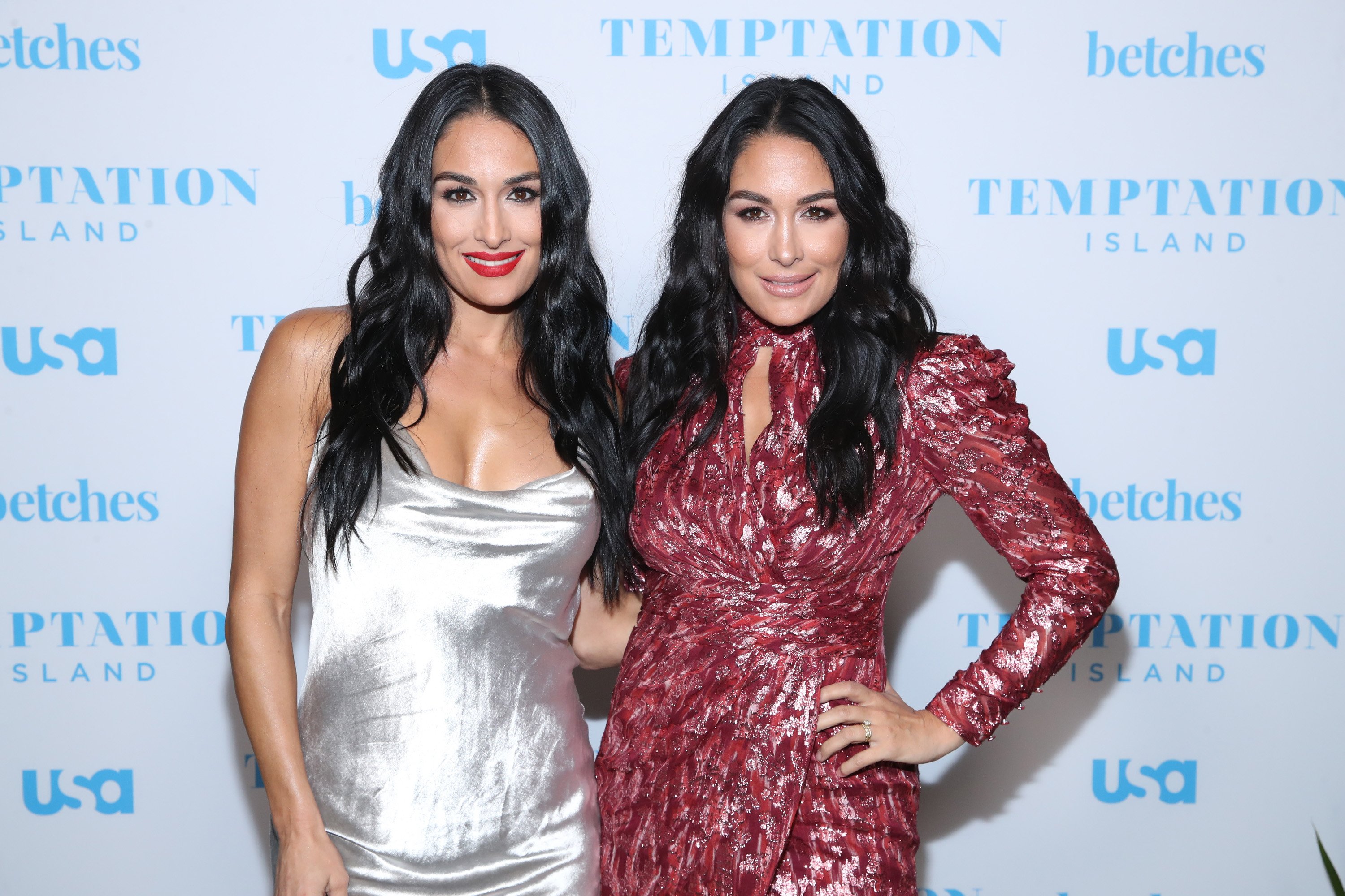 Nikki Bella and Brie Bella