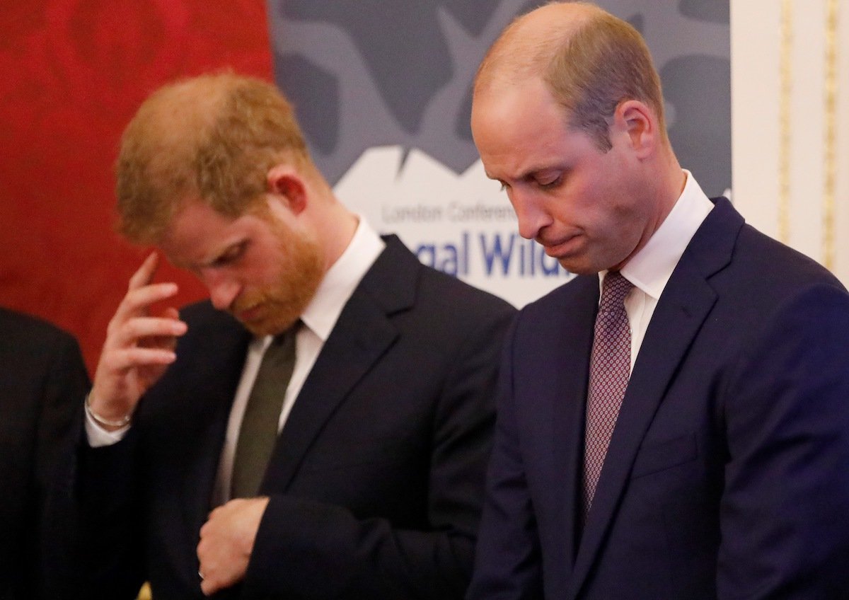 Prince William, Duke of Cambridge and Prince Harry, Duke of Sussex