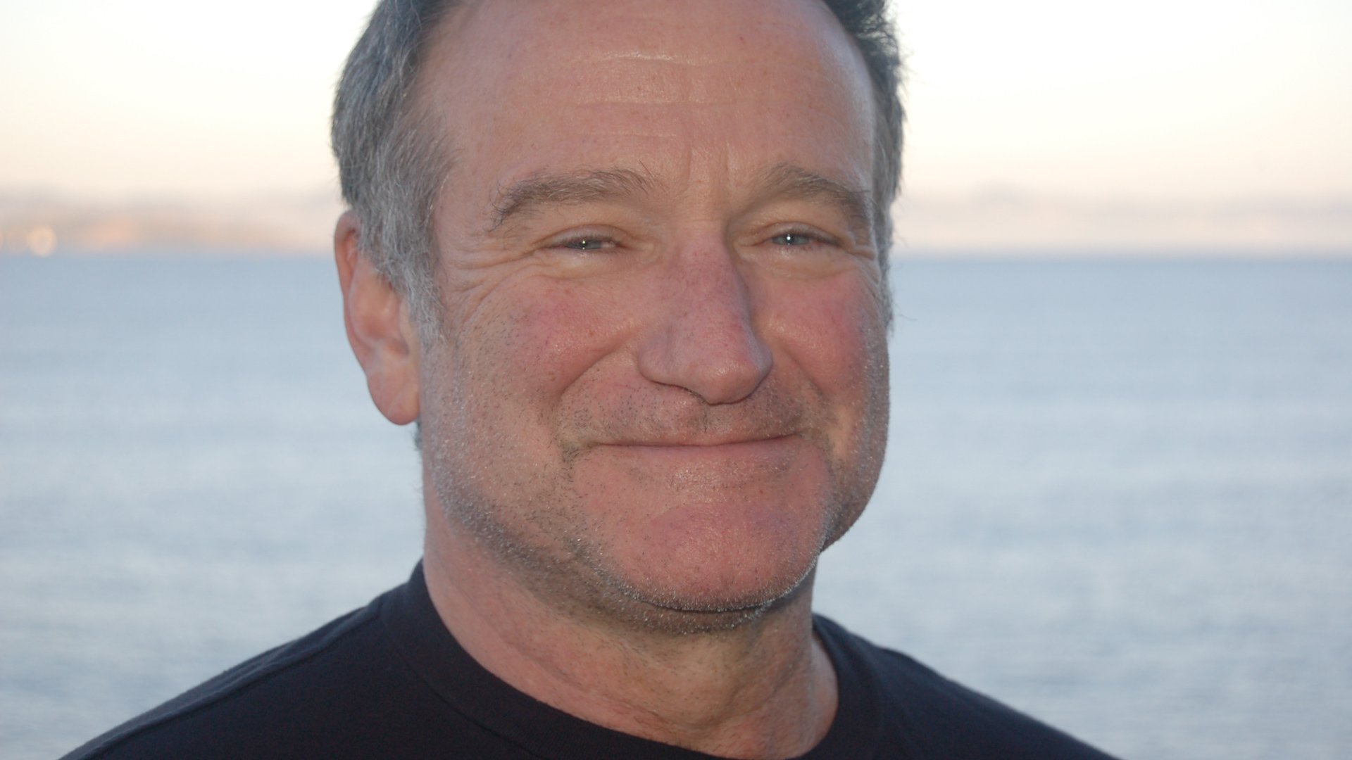 Robin Williams - Robin's Wish