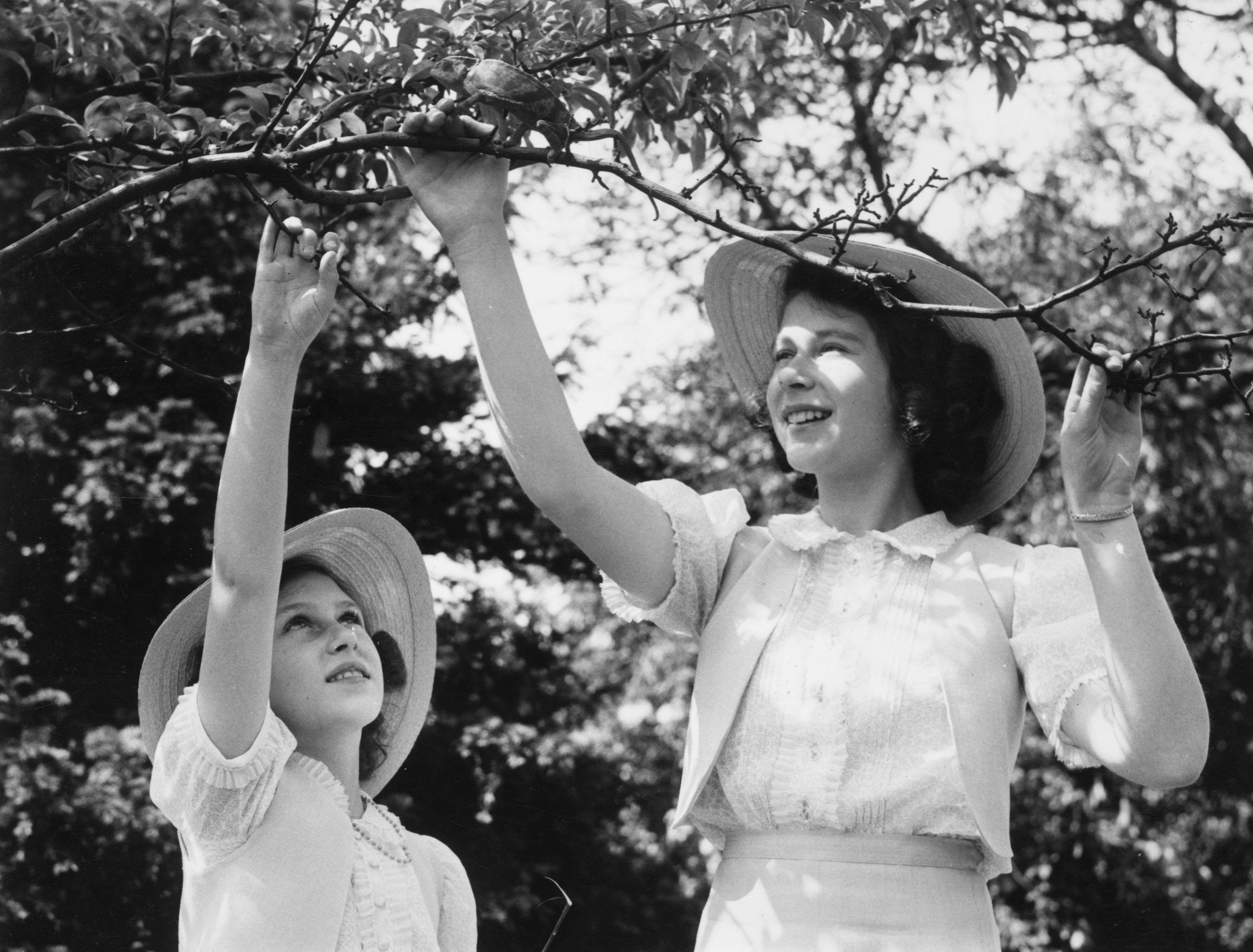 A young Princess (later Queen) Elizabeth and Princess Margaret