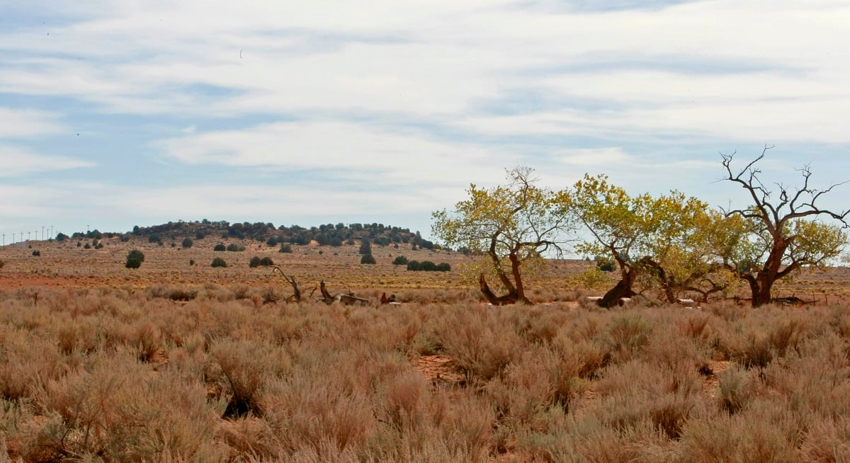 Berry Knoll, land south of Colorado City, AZ 