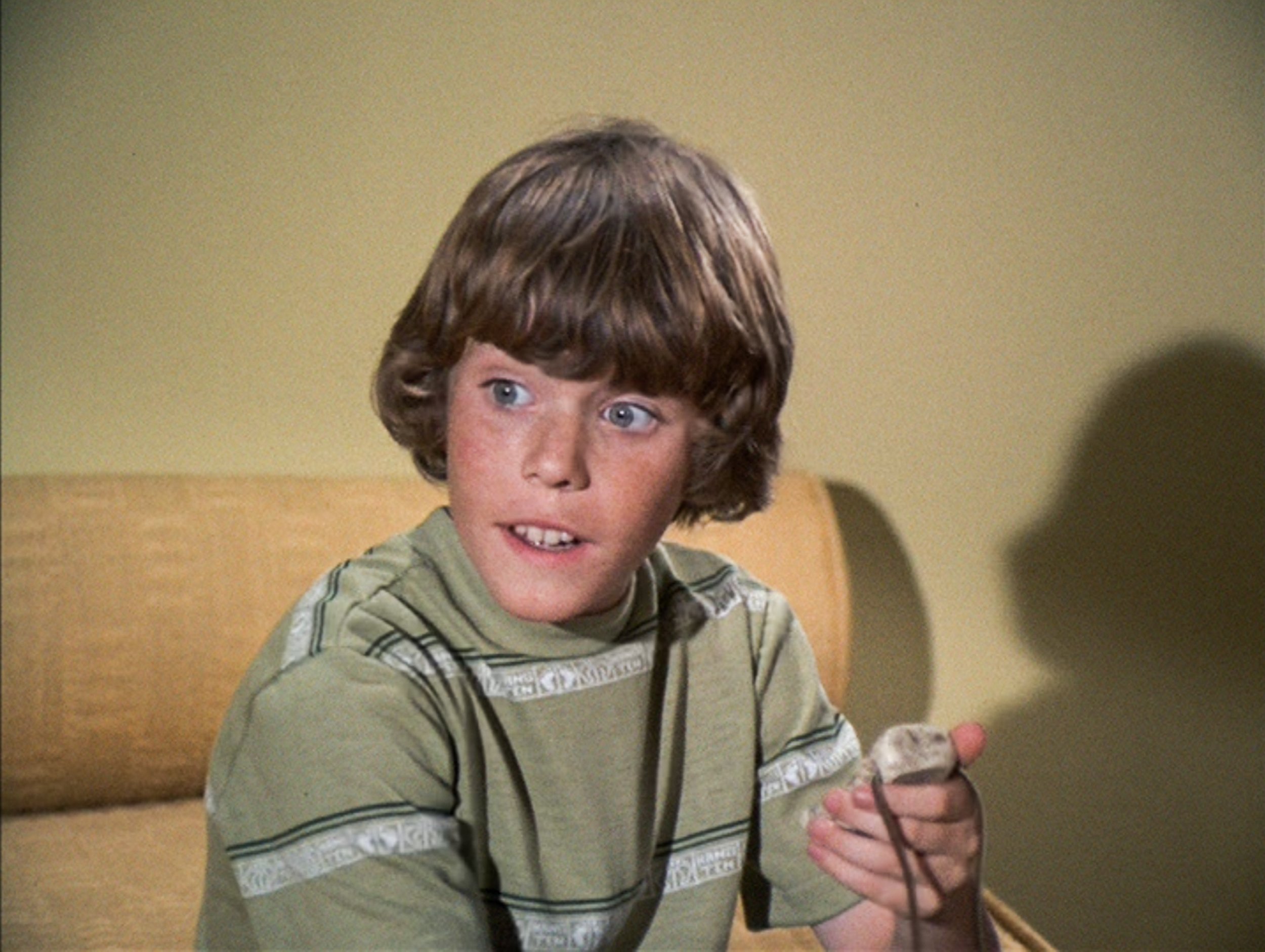 Brady Bunch' Star Mike Lookinland Said This Became a 'Problem' After Bobby  Brady: 'I Lived My Childhood in My 20s'