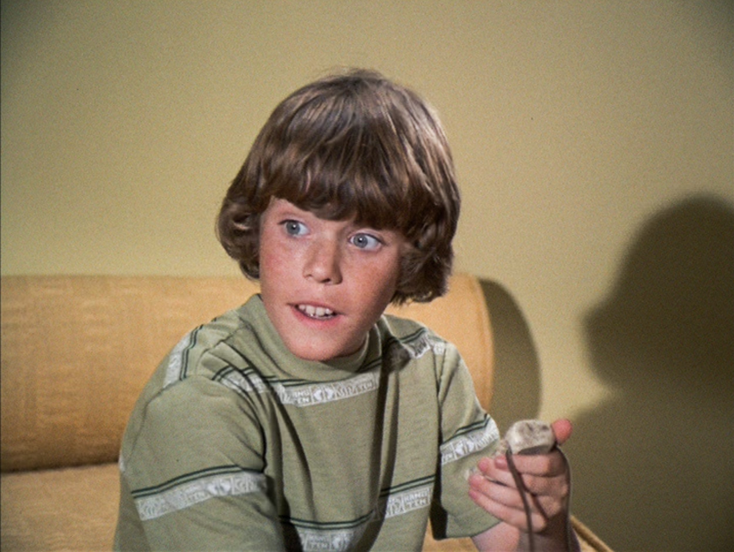 Mike Lookinland of 'The Brady Bunch'