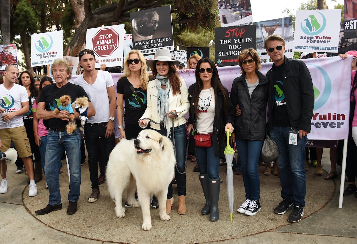 Ken Todd, James Kennedy, Kathryn Edwards, Lisa Vanderpump, Kyle Richards, Lisa Rinna and Harry Hamlin