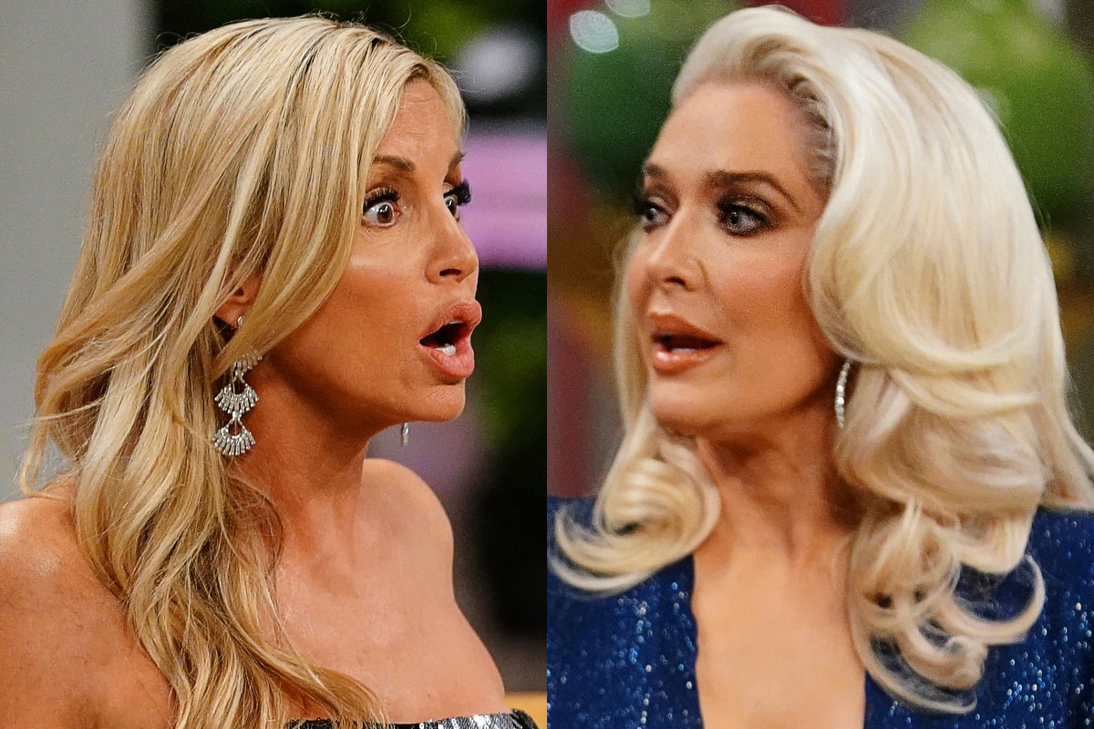 Camille Grammer and Erika Jayne