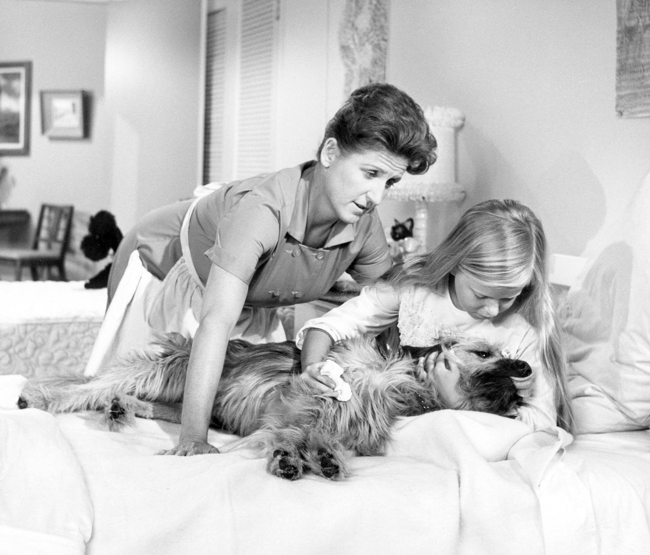 Ann B. Davis, Eve Plumb, and Tiger of 'The Brady Bunch'