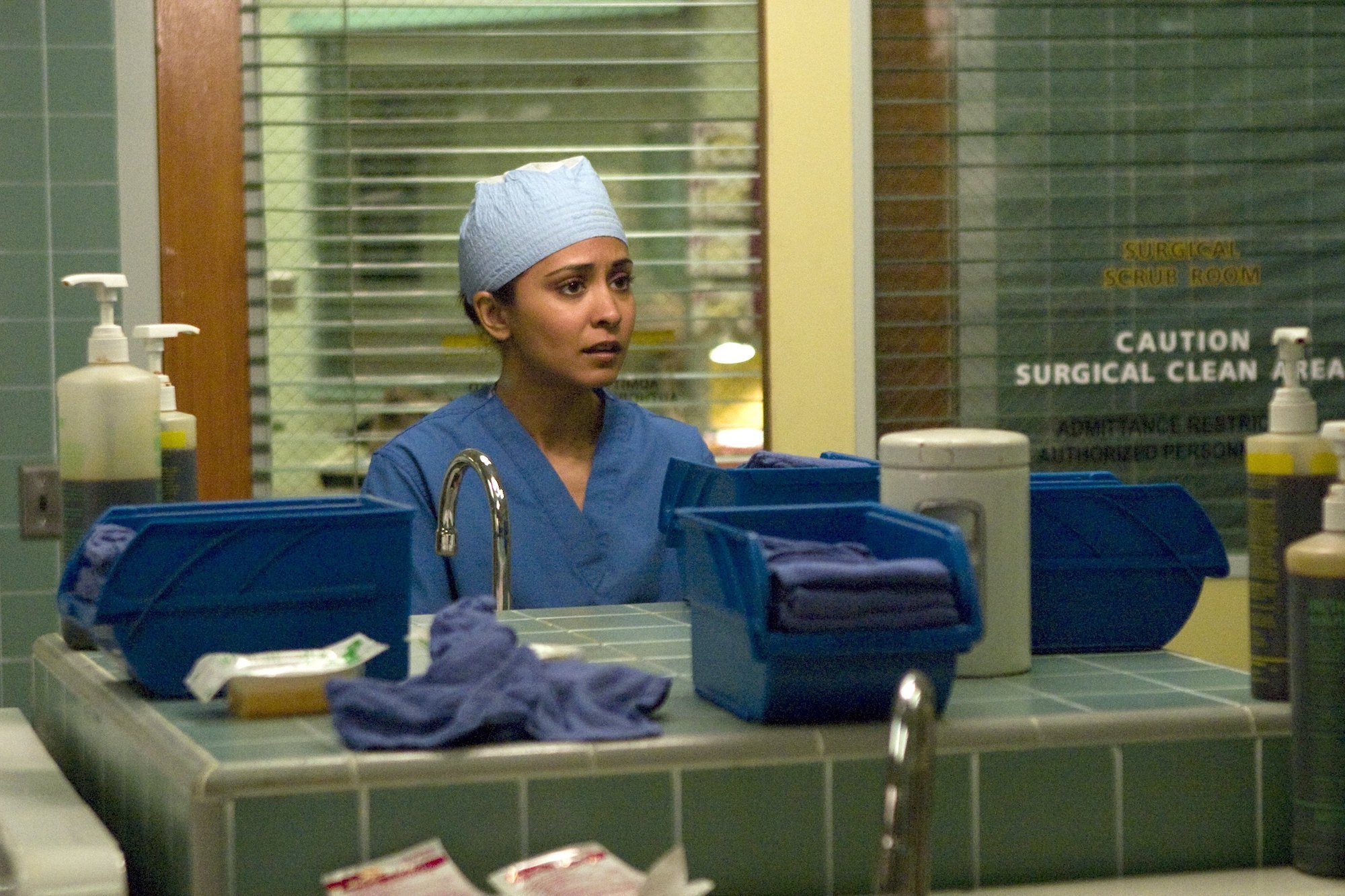 Parminder Nagra as Neela Rasgotra