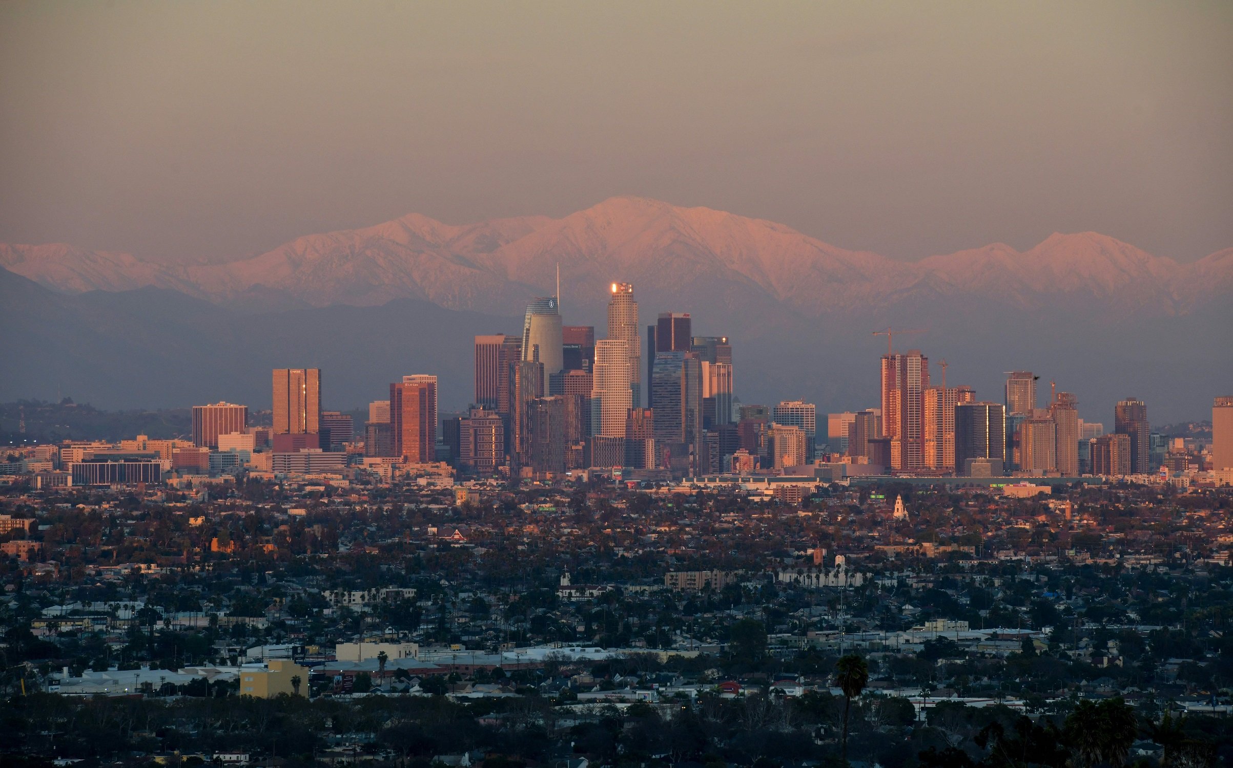 The Los Angeles skyline