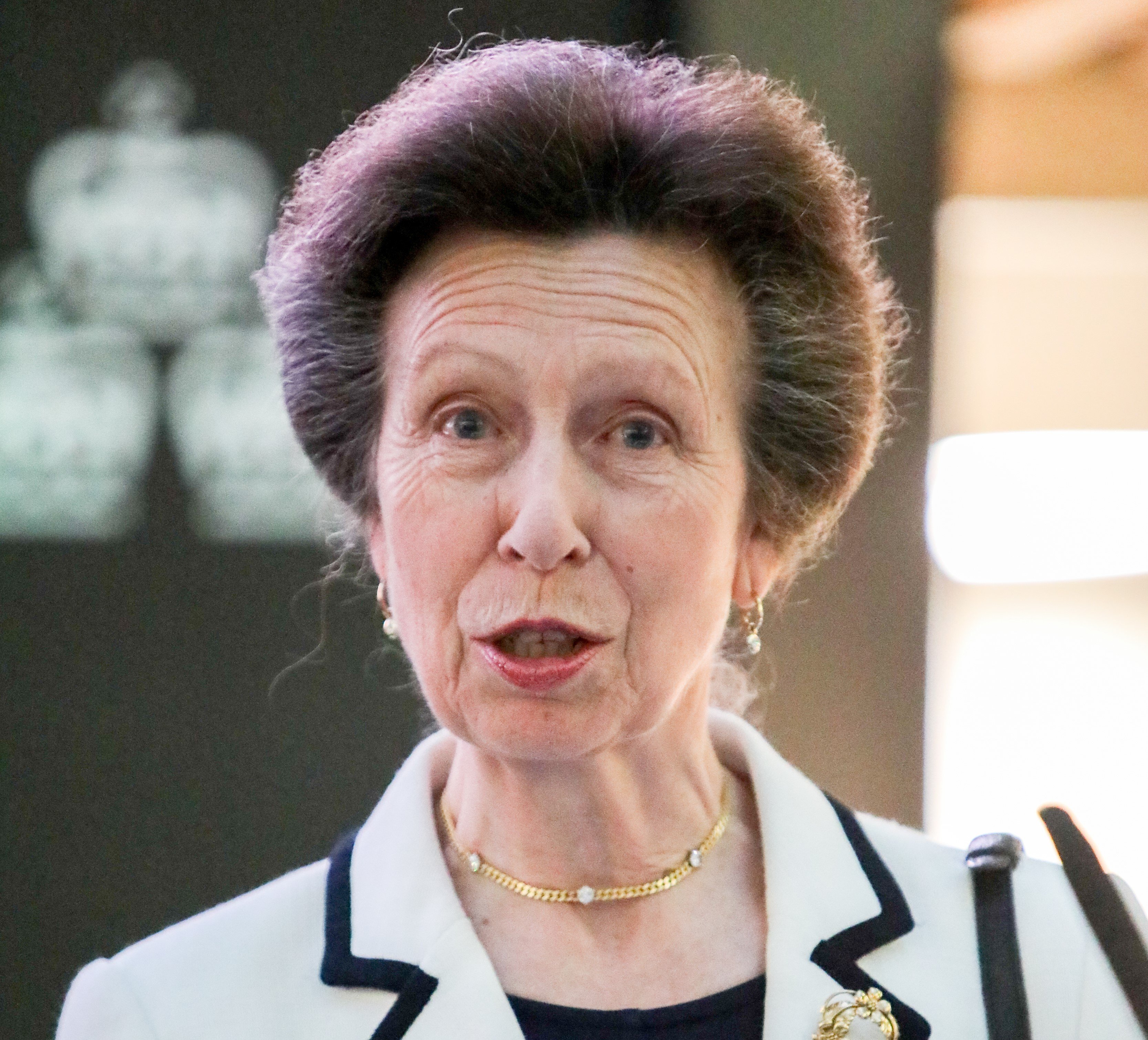 Princess Anne’s Insulting Jab ‘Most Stupid Person’ Heard When She Forgot to Turn Her Microphone Off