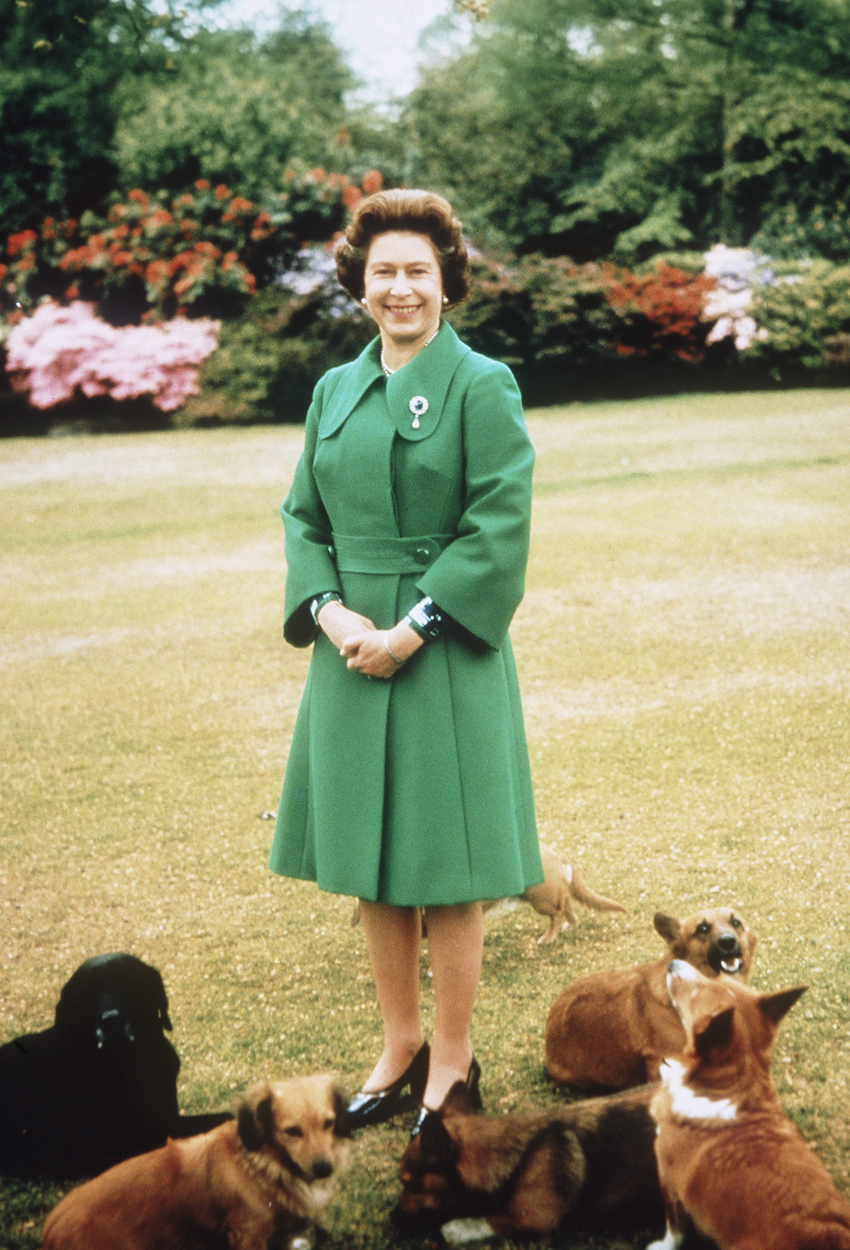 Queen Elizabeth II at Sandringham with her corgis