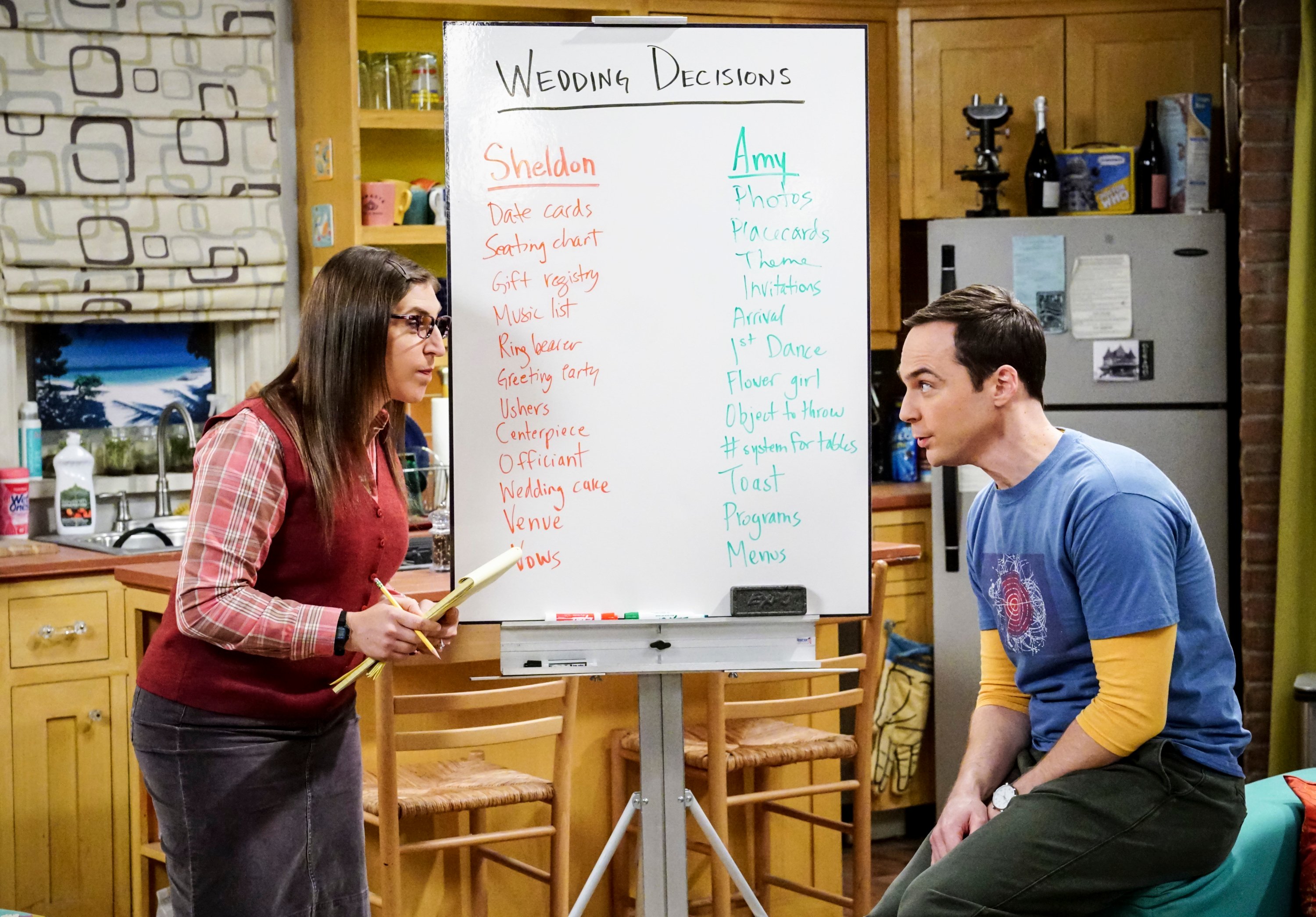 Amy Farrah Fowler  and Sheldon Cooper