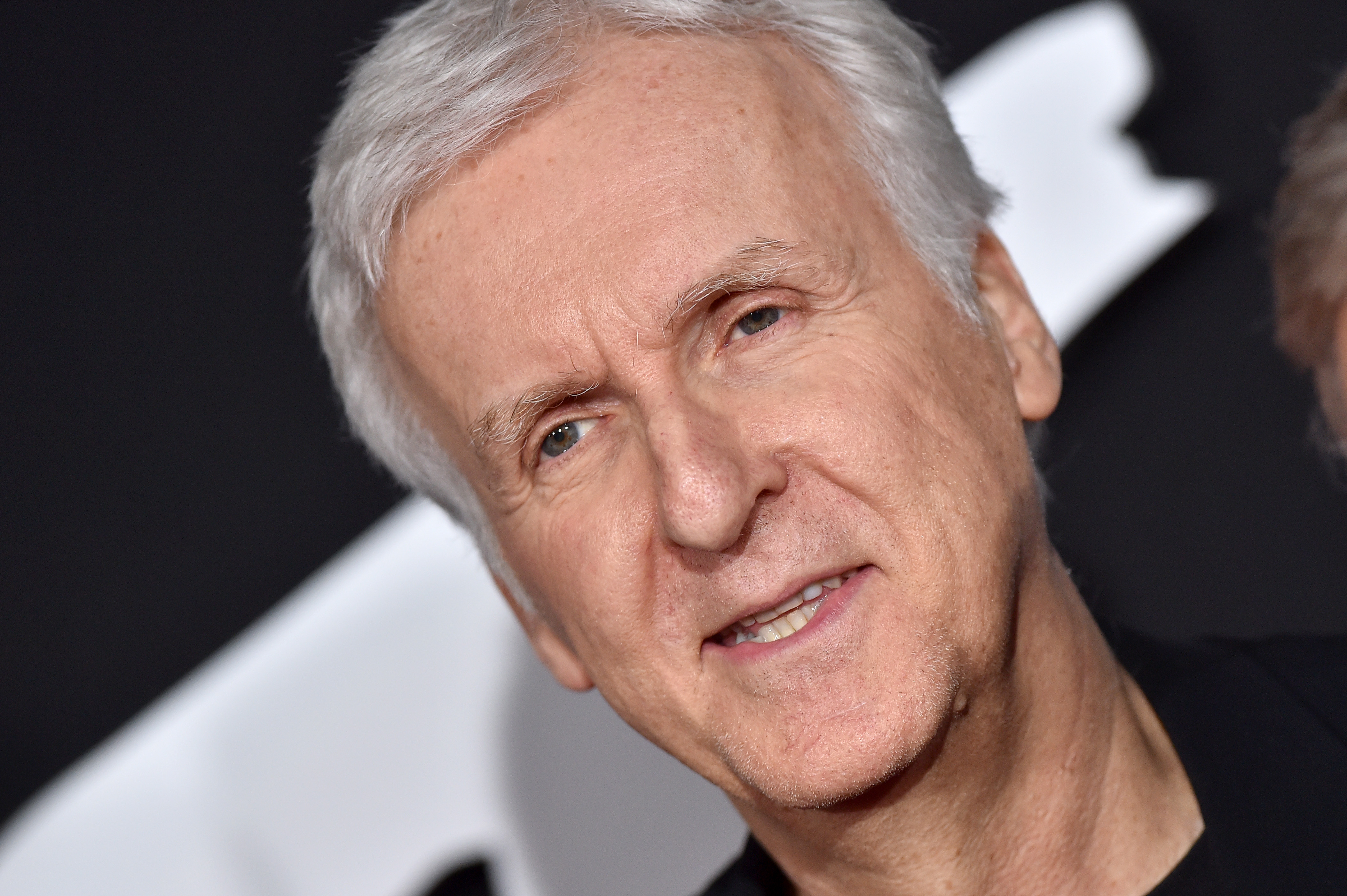 James Cameron attends the premiere of 20th Century Fox's 'Alita: Battle Angel' at Westwood Regency Theater on February 05, 2019 in Los Angeles, California. 
