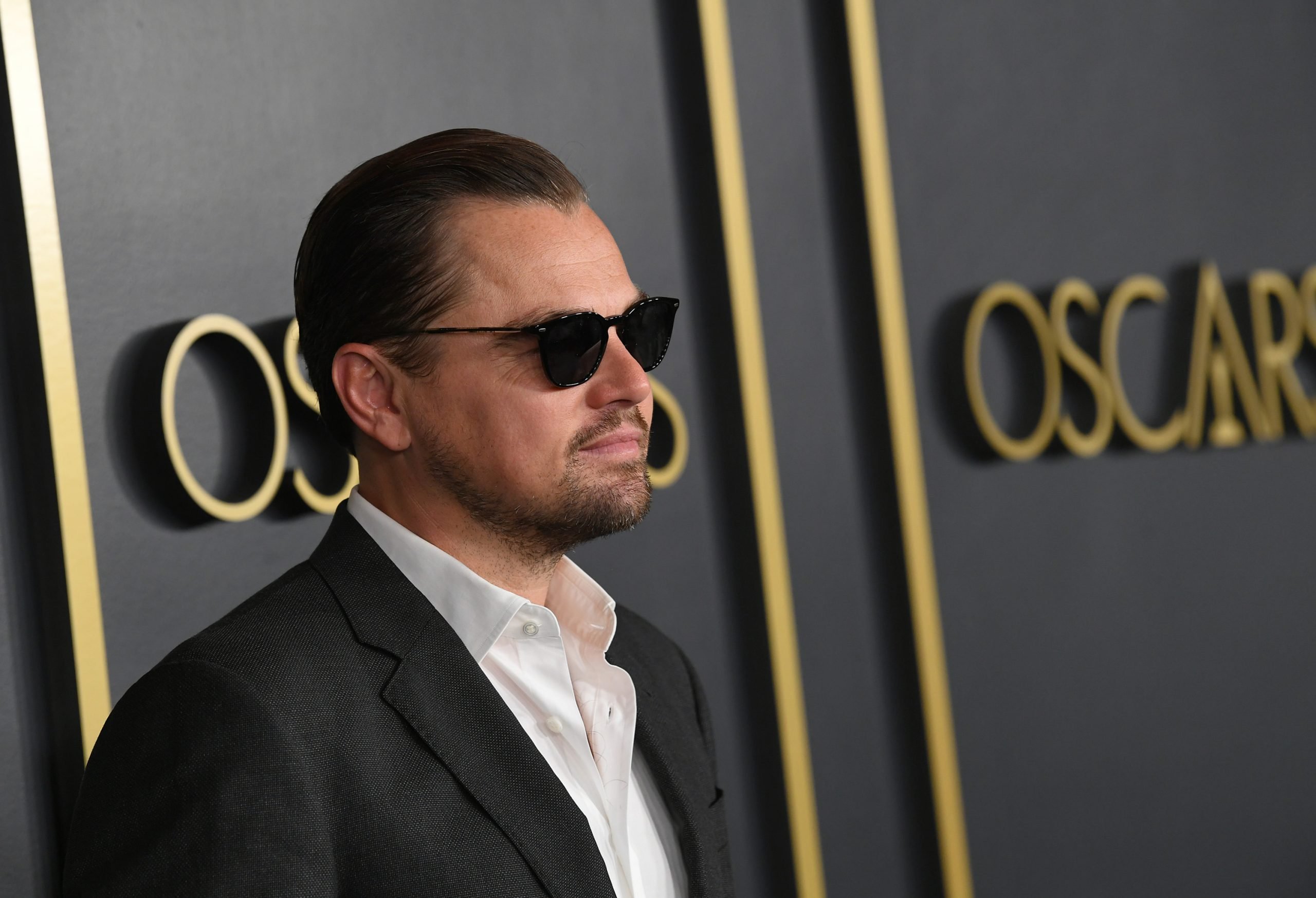 Leonardo DiCaprio 