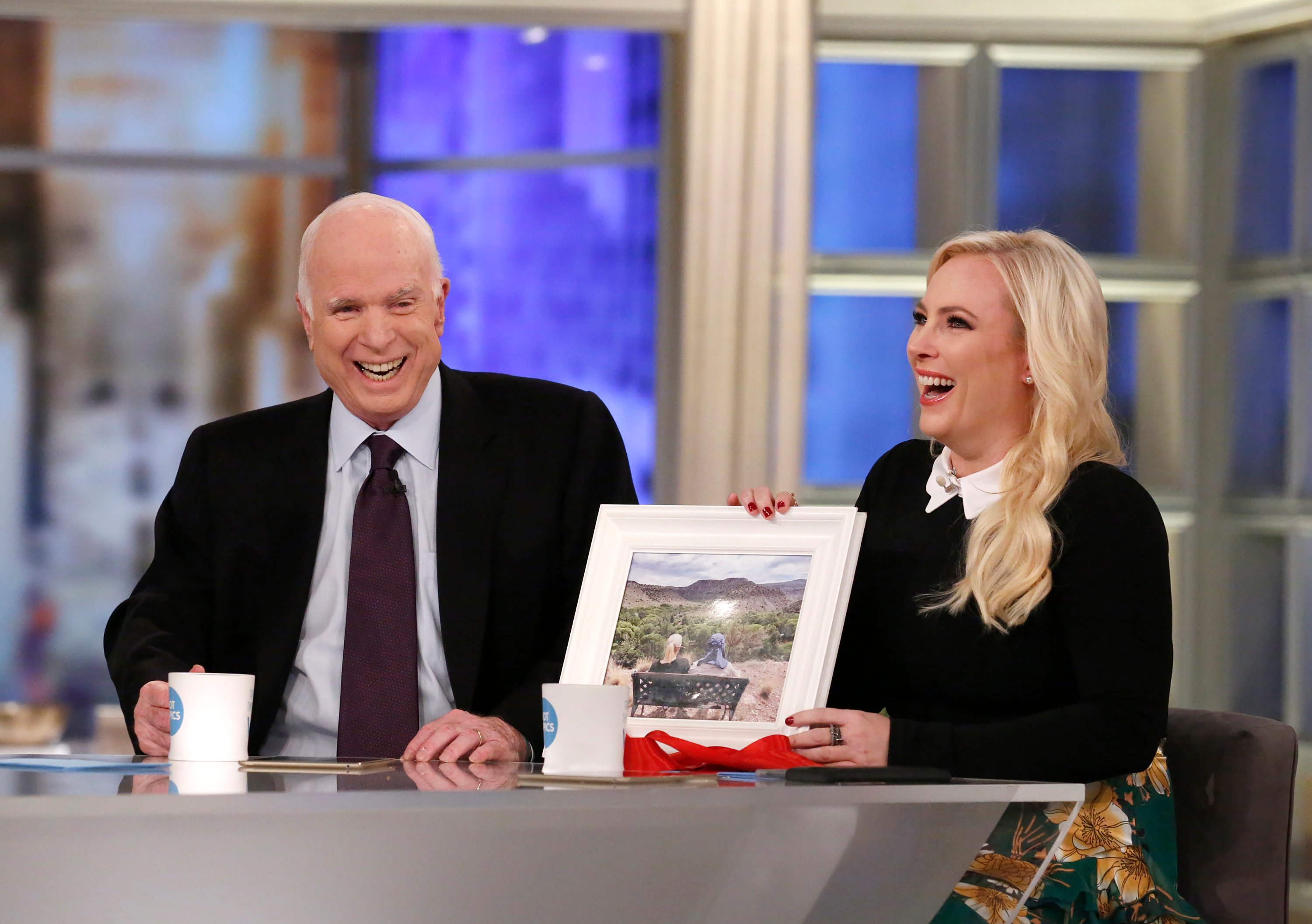 John McCain and Meghan McCain on 'The View' in 2017