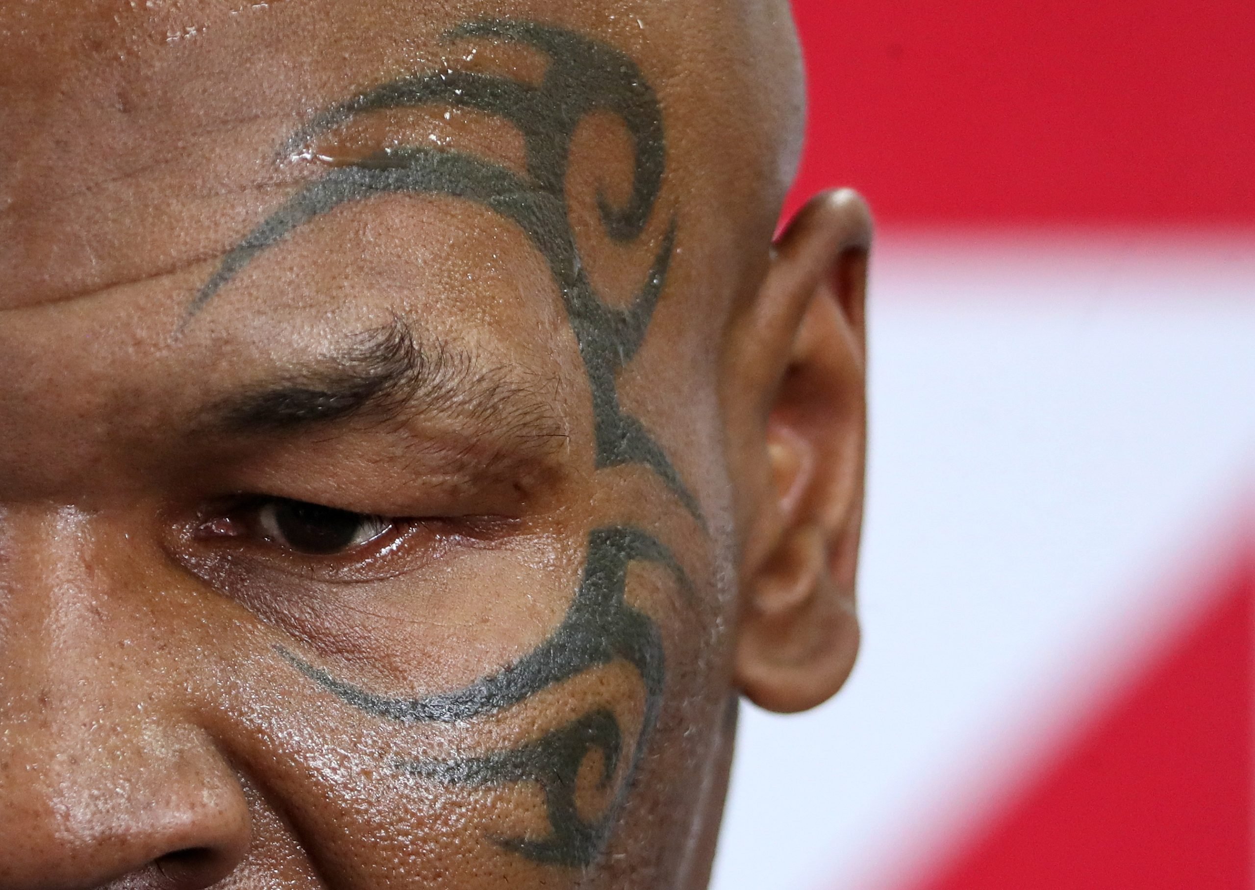 Buy Mike Tyson Tribal Temporary Tattoo Mike Tyson Tattoo  Mike Online in  India  Etsy