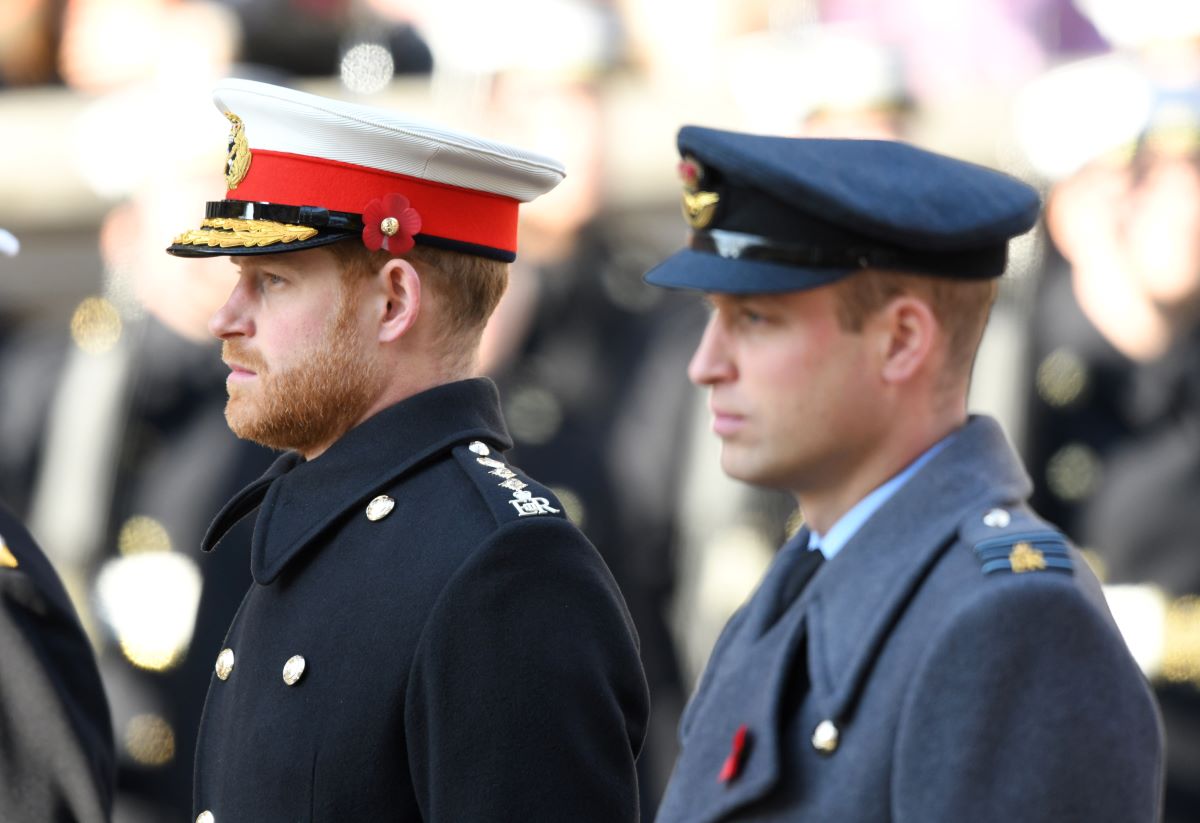 rince Harry, Duke of Sussex and Prince William, Duke of Cambridge
