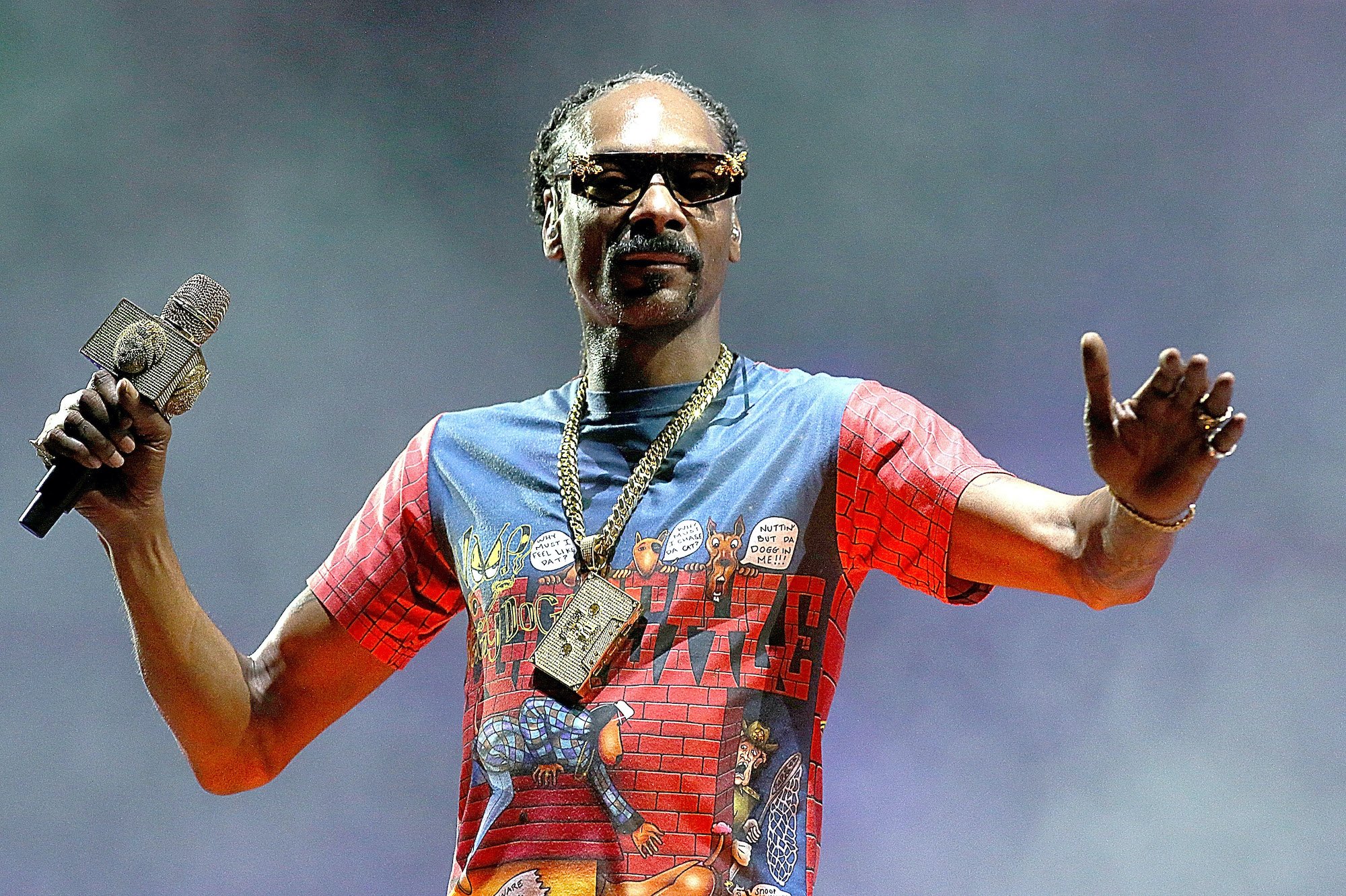 Snoop Dogg performs in concert