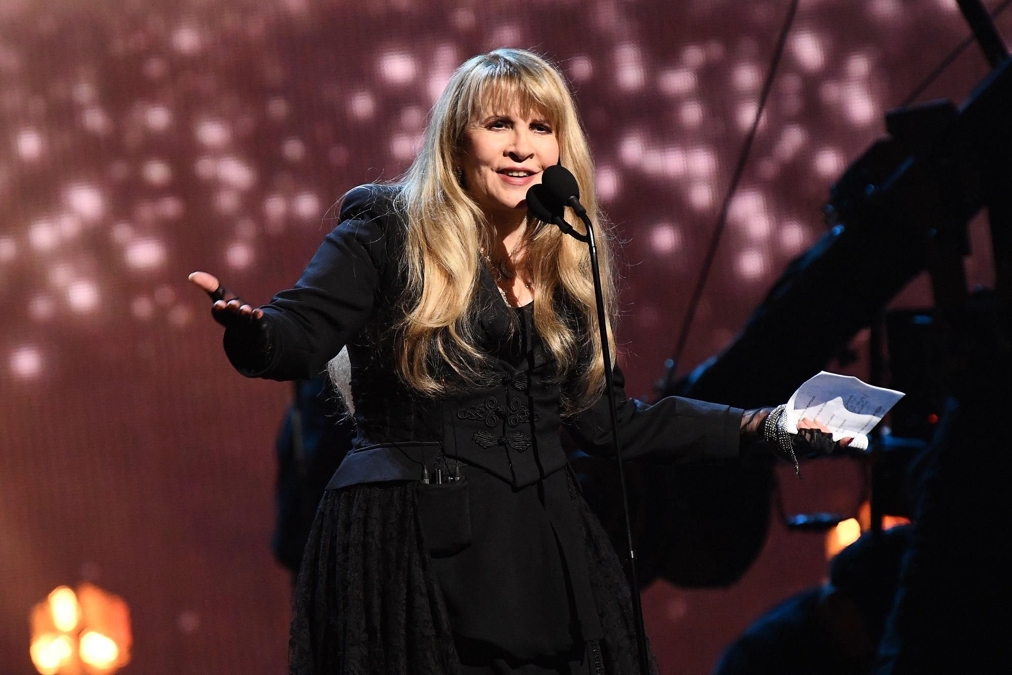 Stevie Nicks 