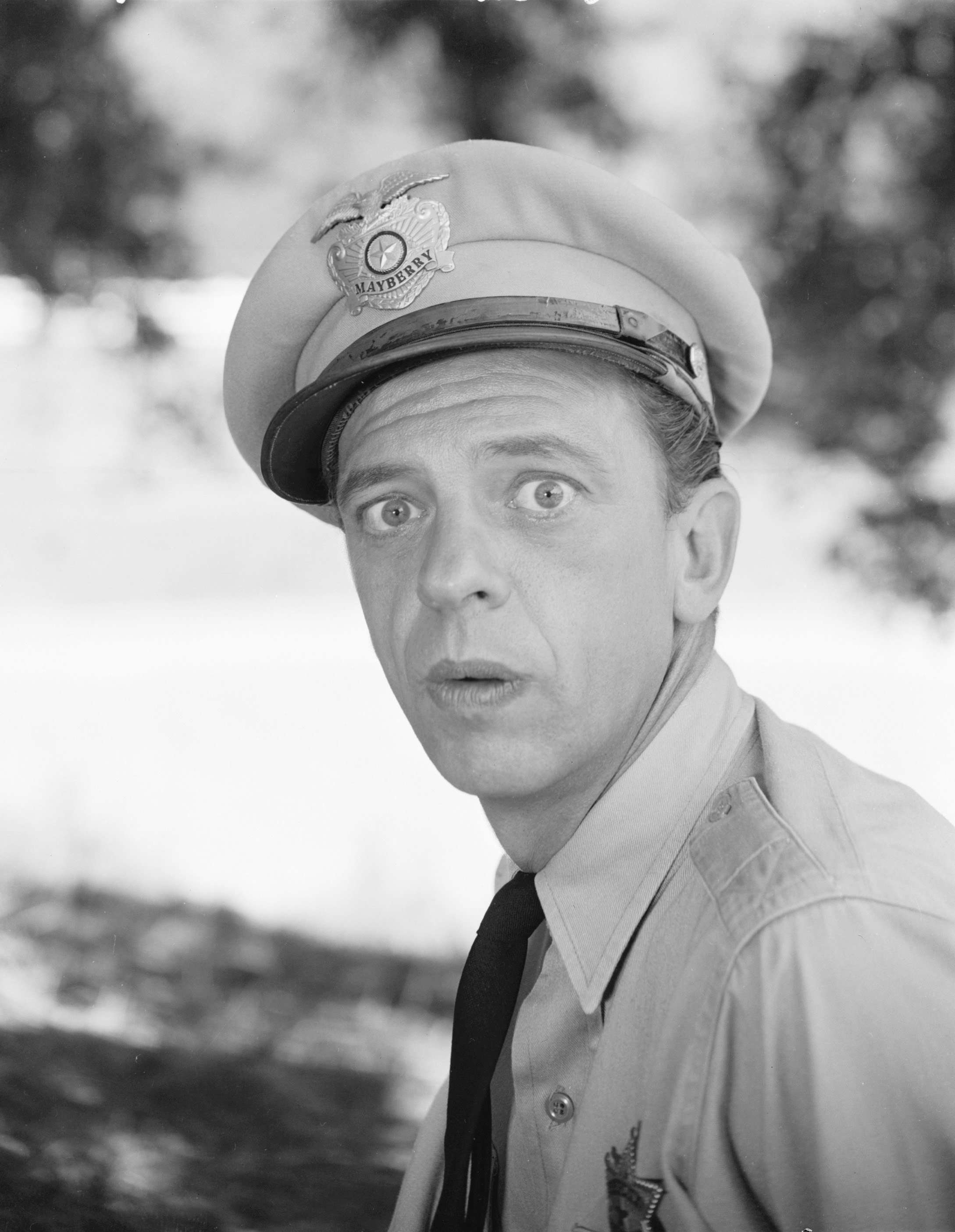 Don Knotts as Barney Fife