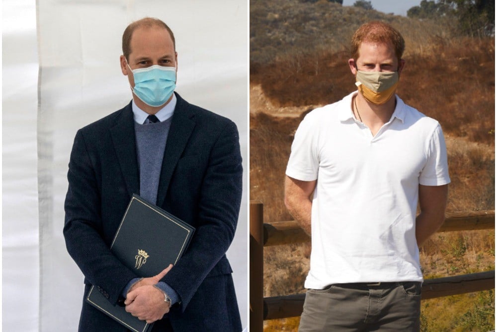 (L) Prince William, (R) Prince Harry