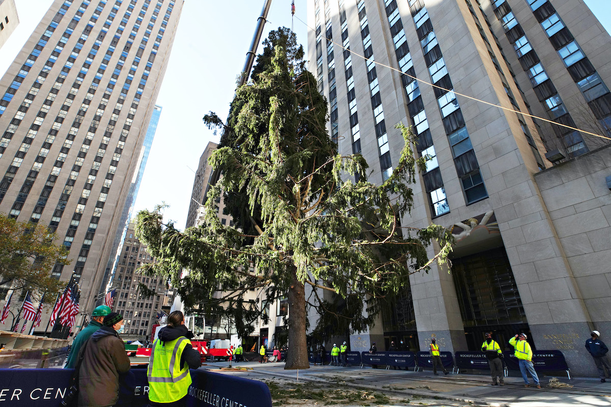 The Rockefeller Center Christmas Tree arrives at Rockefeller Plaza