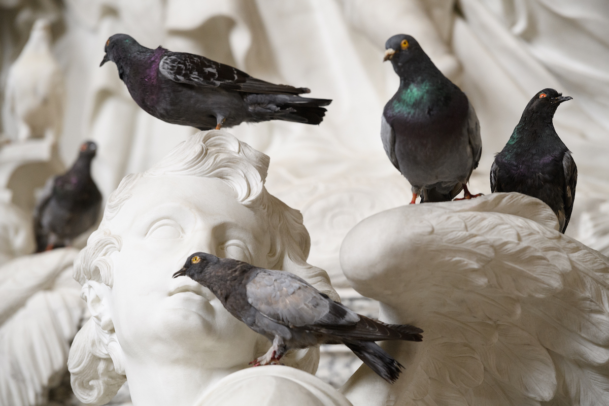 Taxidermy birds on stone statues