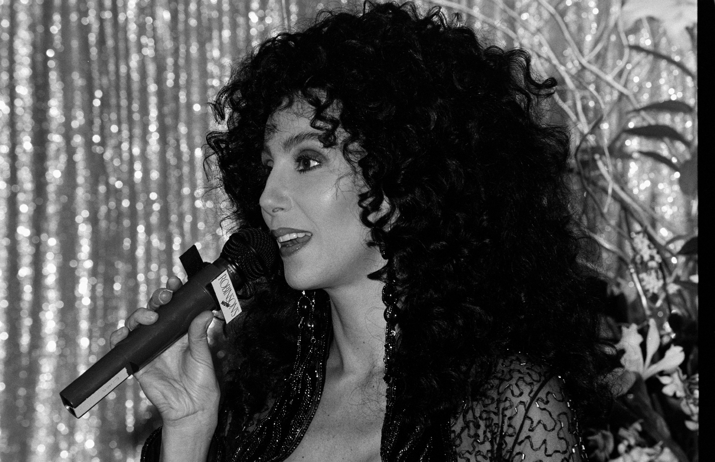 Cher with a microphone