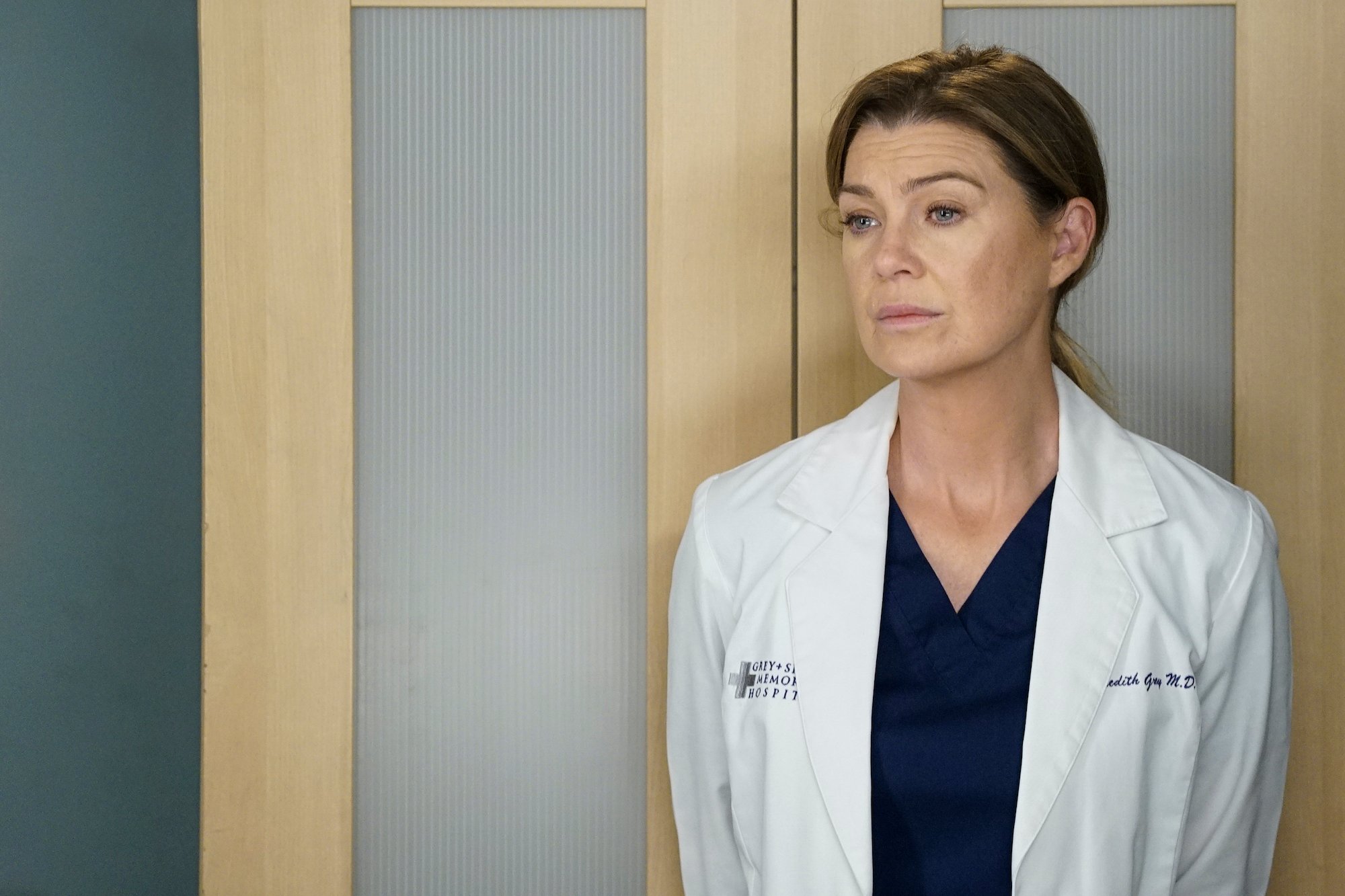 Ellen Pompeo as Meredith Grey